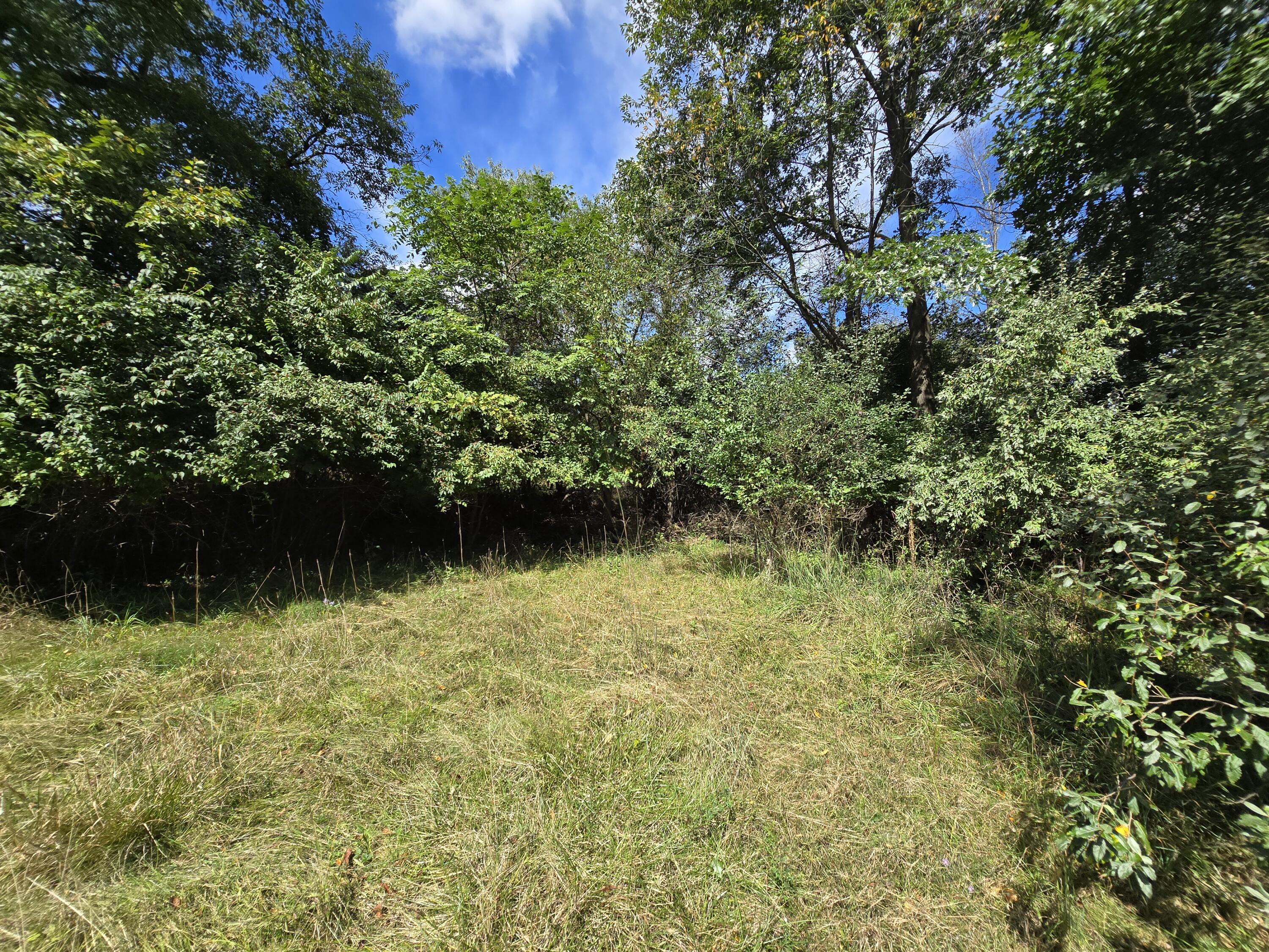 1800 Park Road Property Photo 11