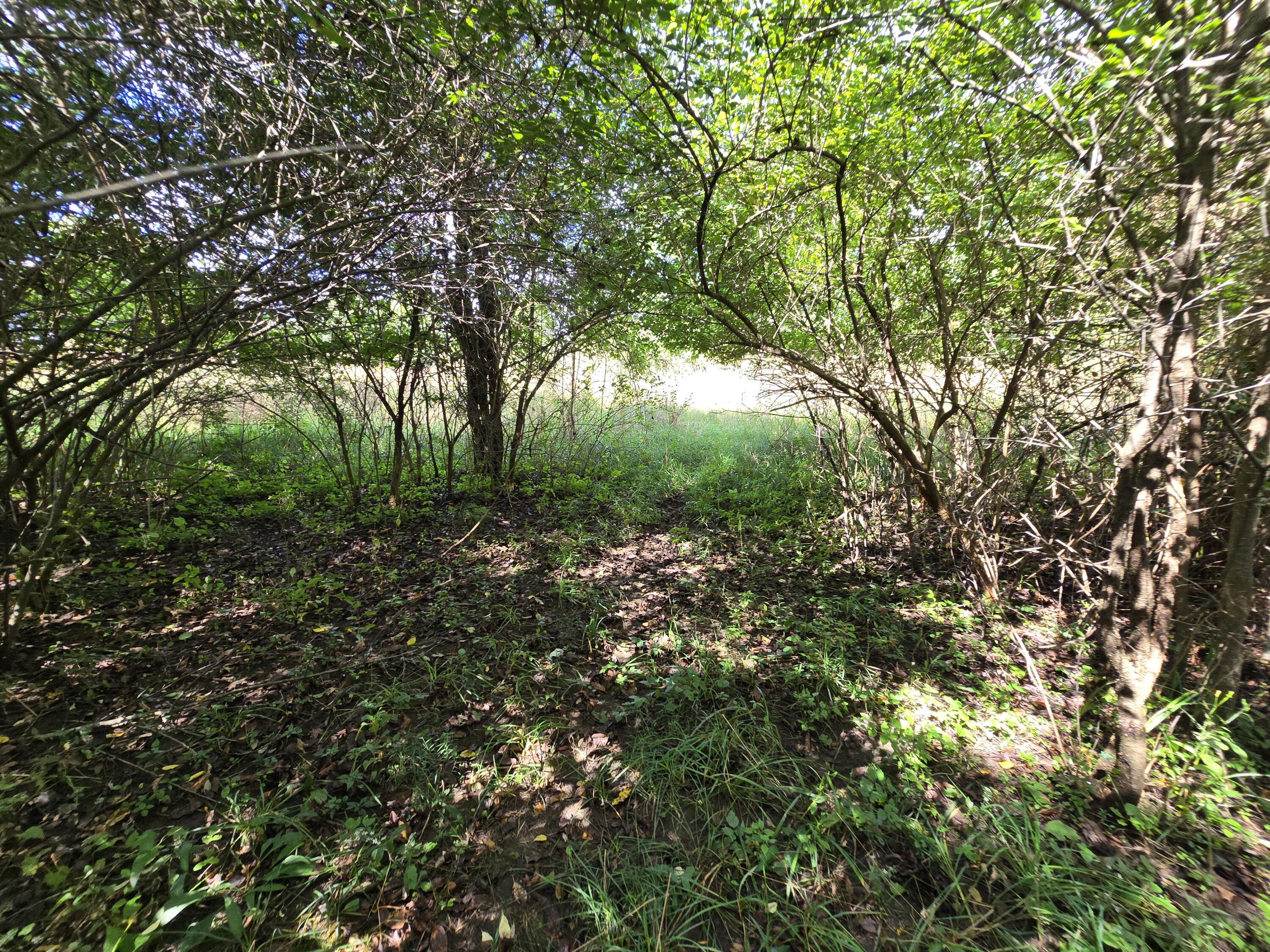 1800 Park Road Property Photo 12