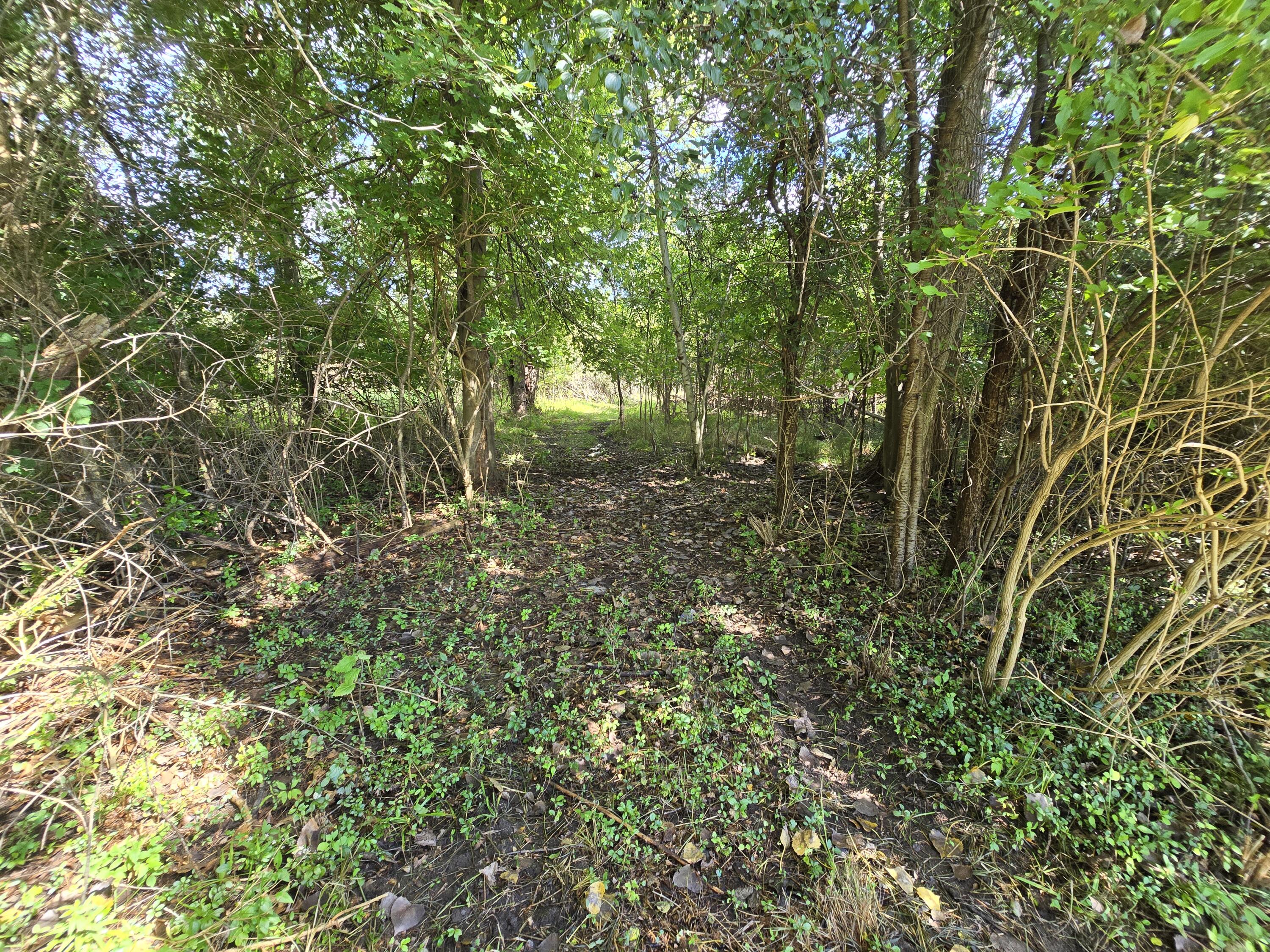 1800 Park Road Property Photo 17