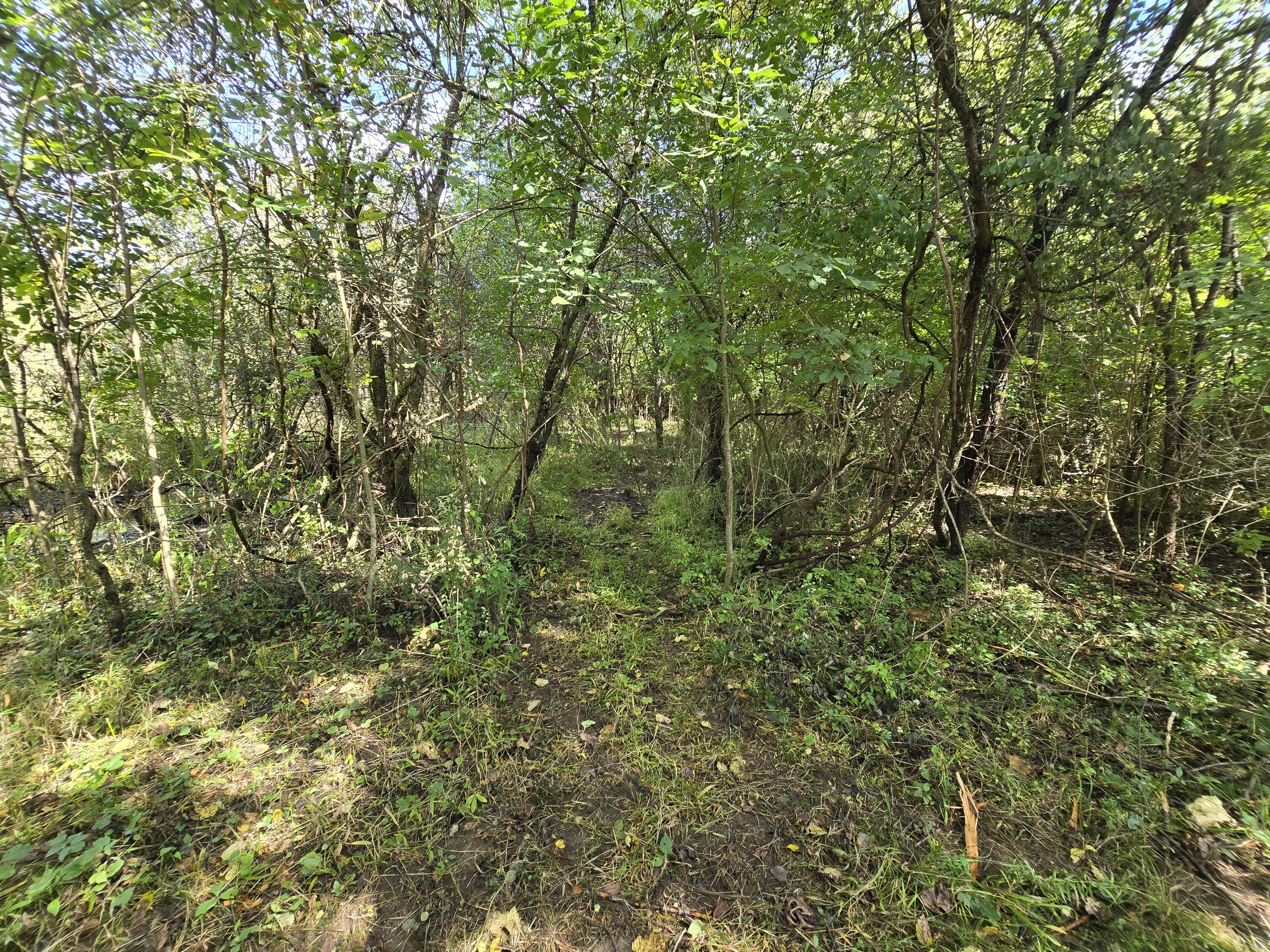 1800 Park Road Property Photo 18