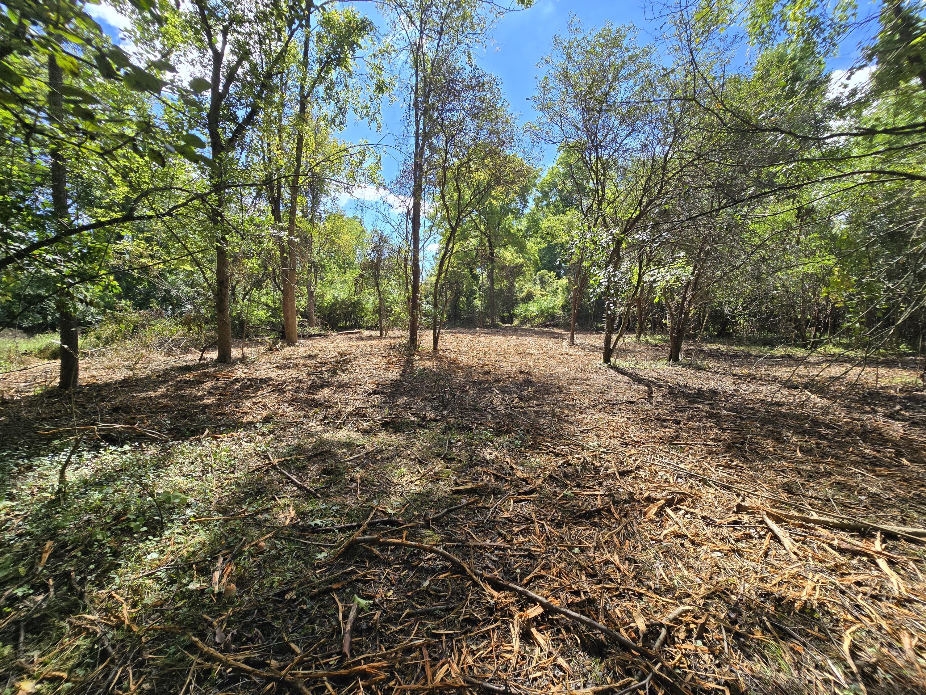 1800 Park Road Property Photo 23
