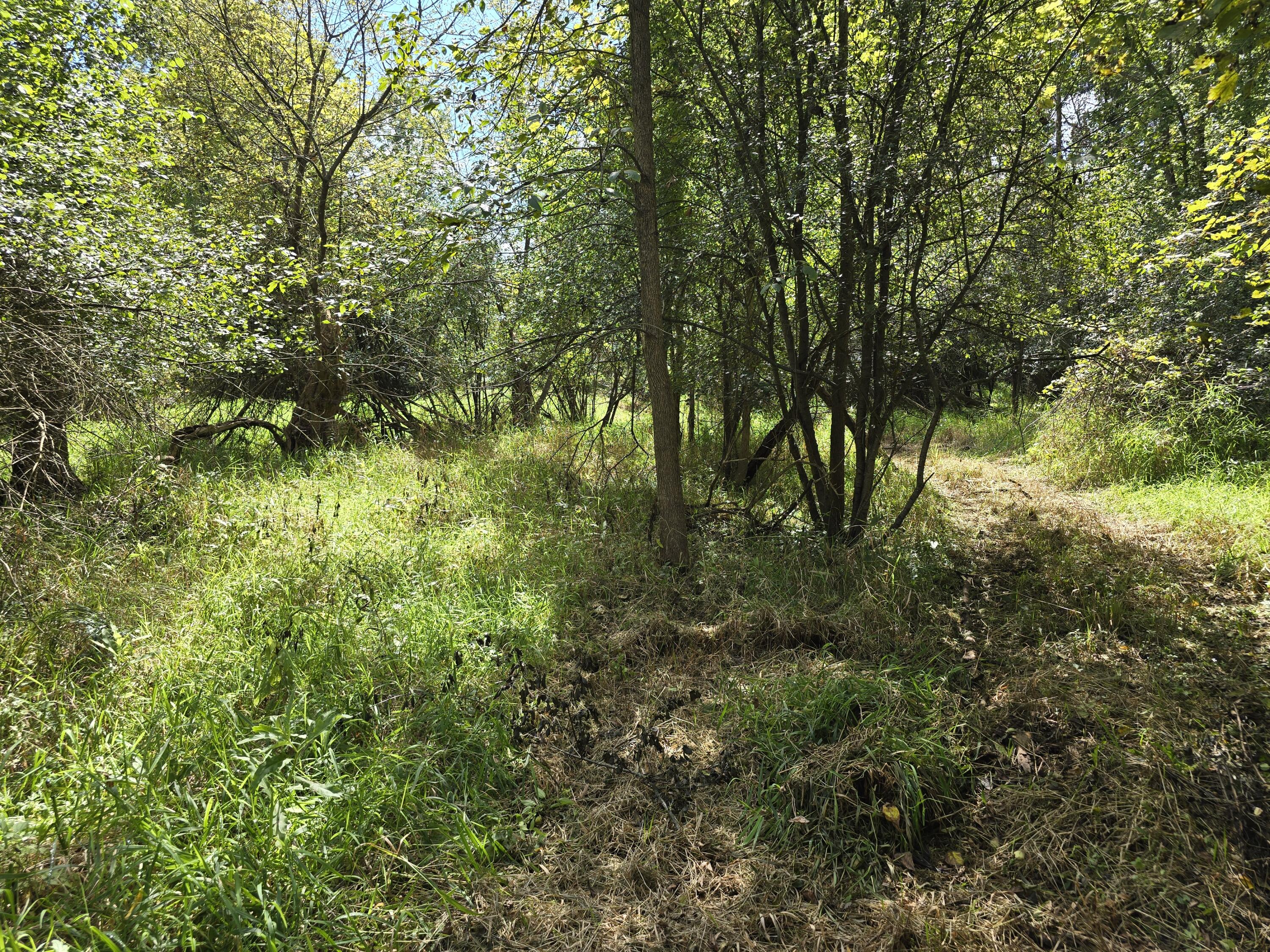 1800 Park Road Property Photo 24