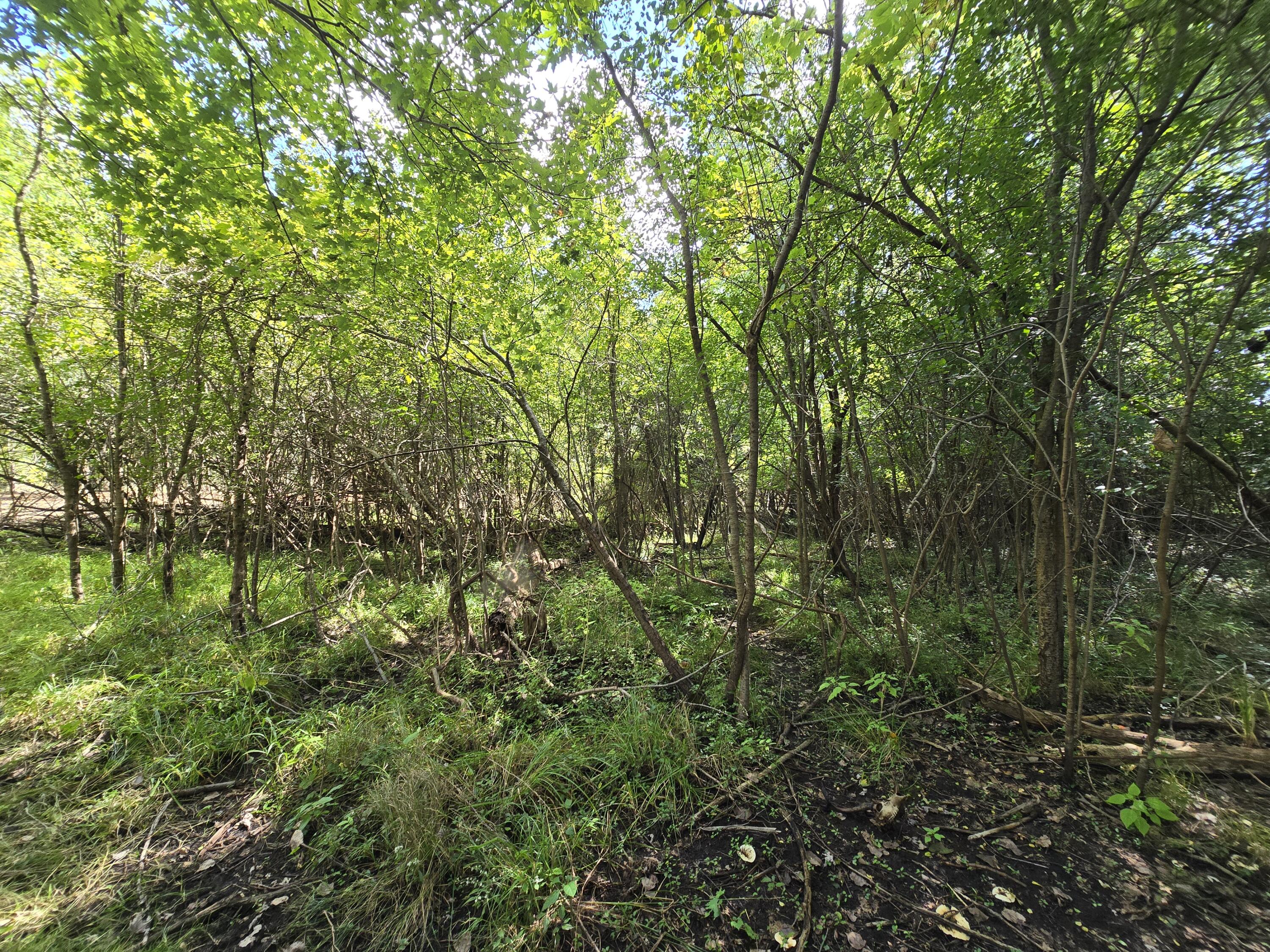 1800 Park Road Property Photo 25