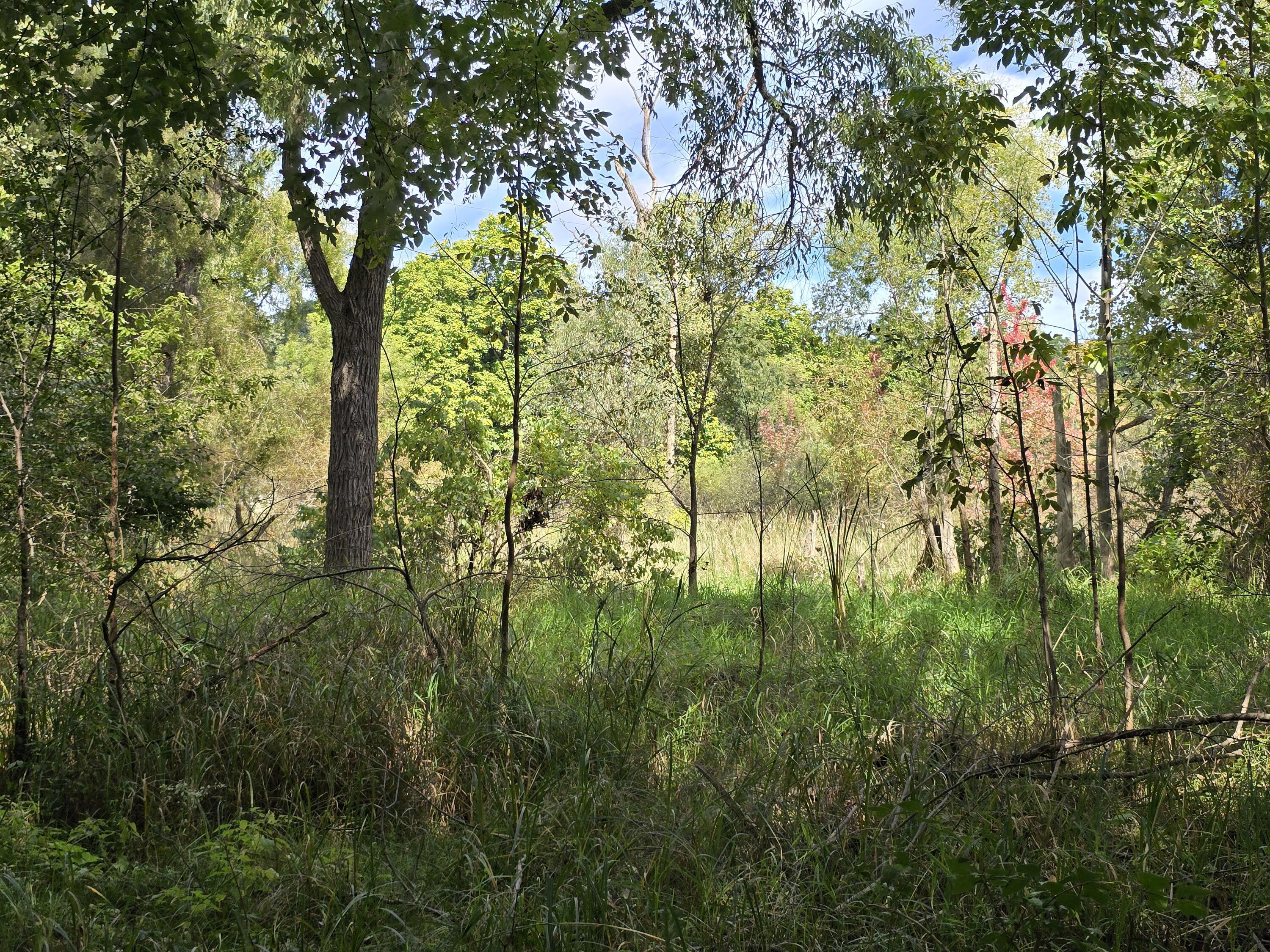 1800 Park Road Property Photo 27
