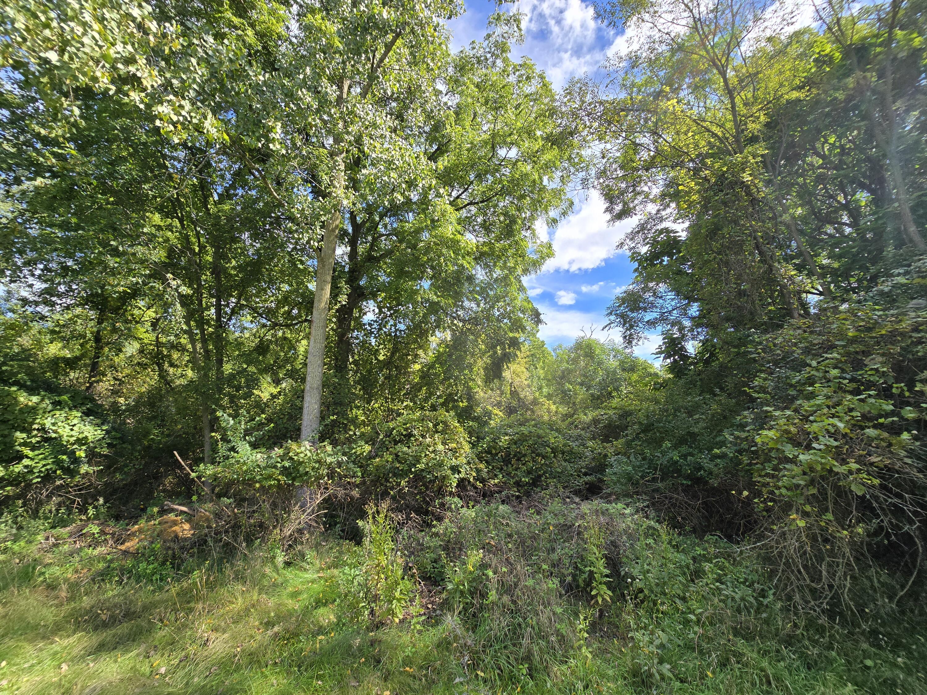 1800 Park Road Property Photo 29