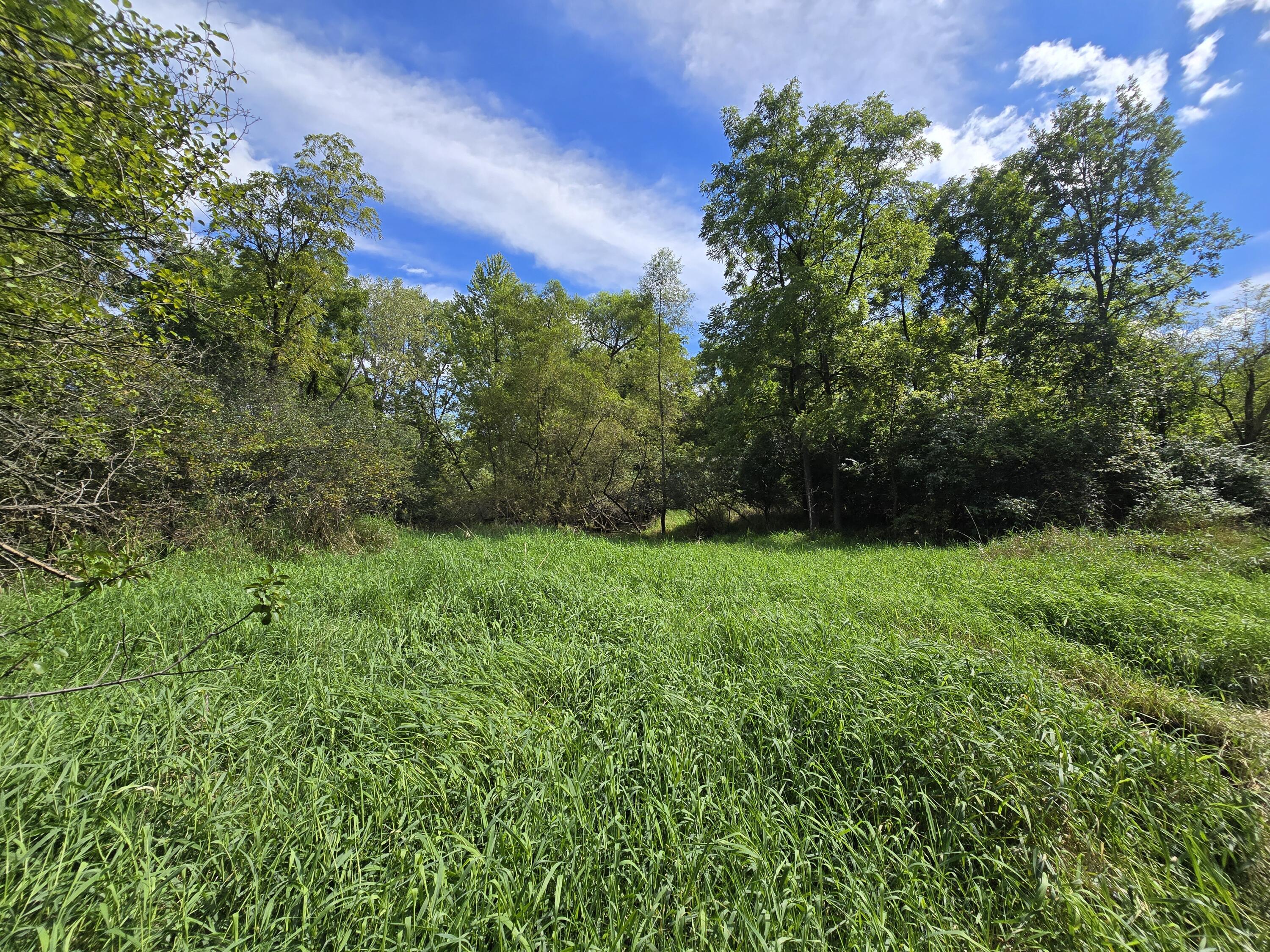 1800 Park Road Property Photo 30