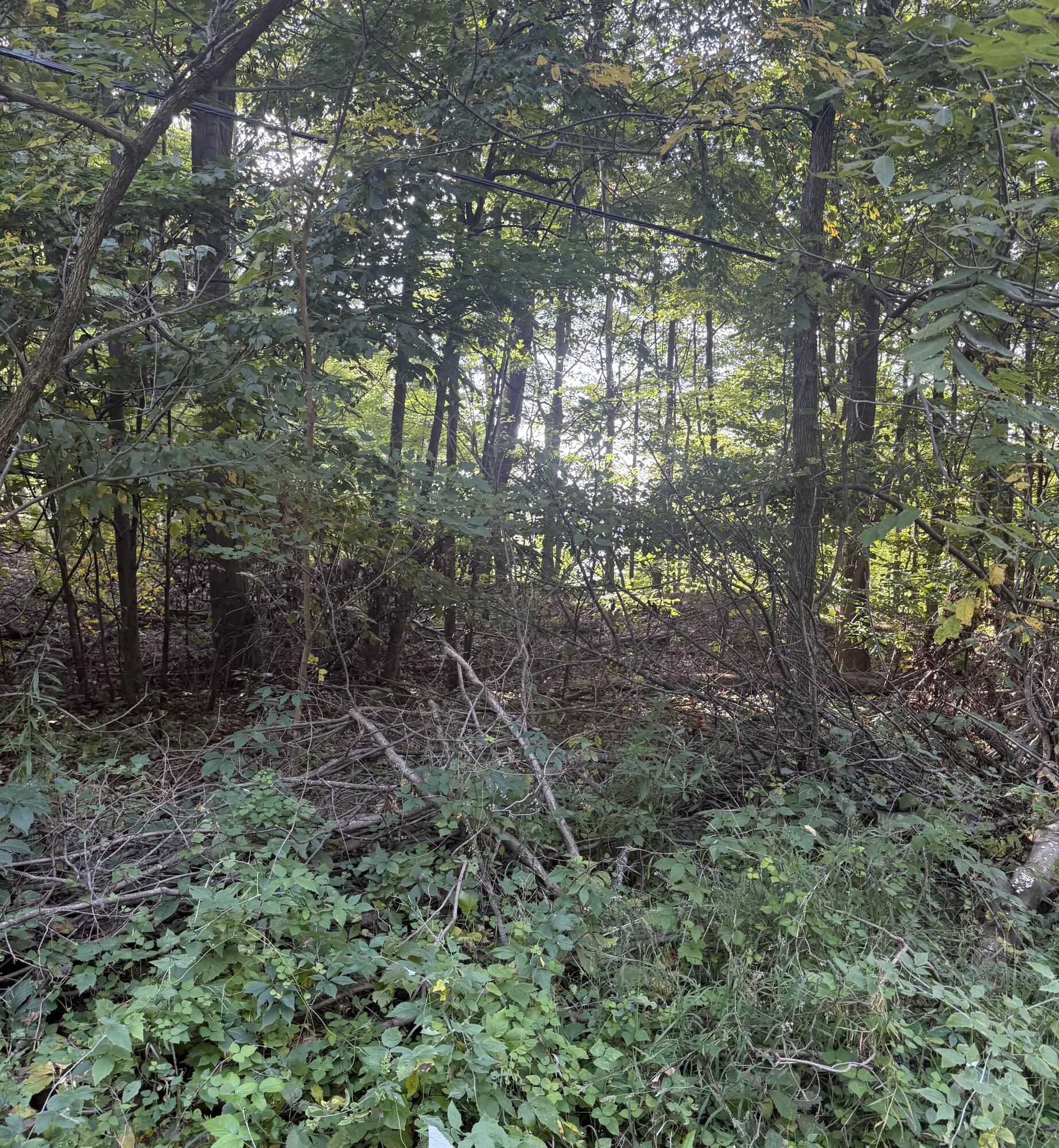 V/l Doster Road Property Photo 1