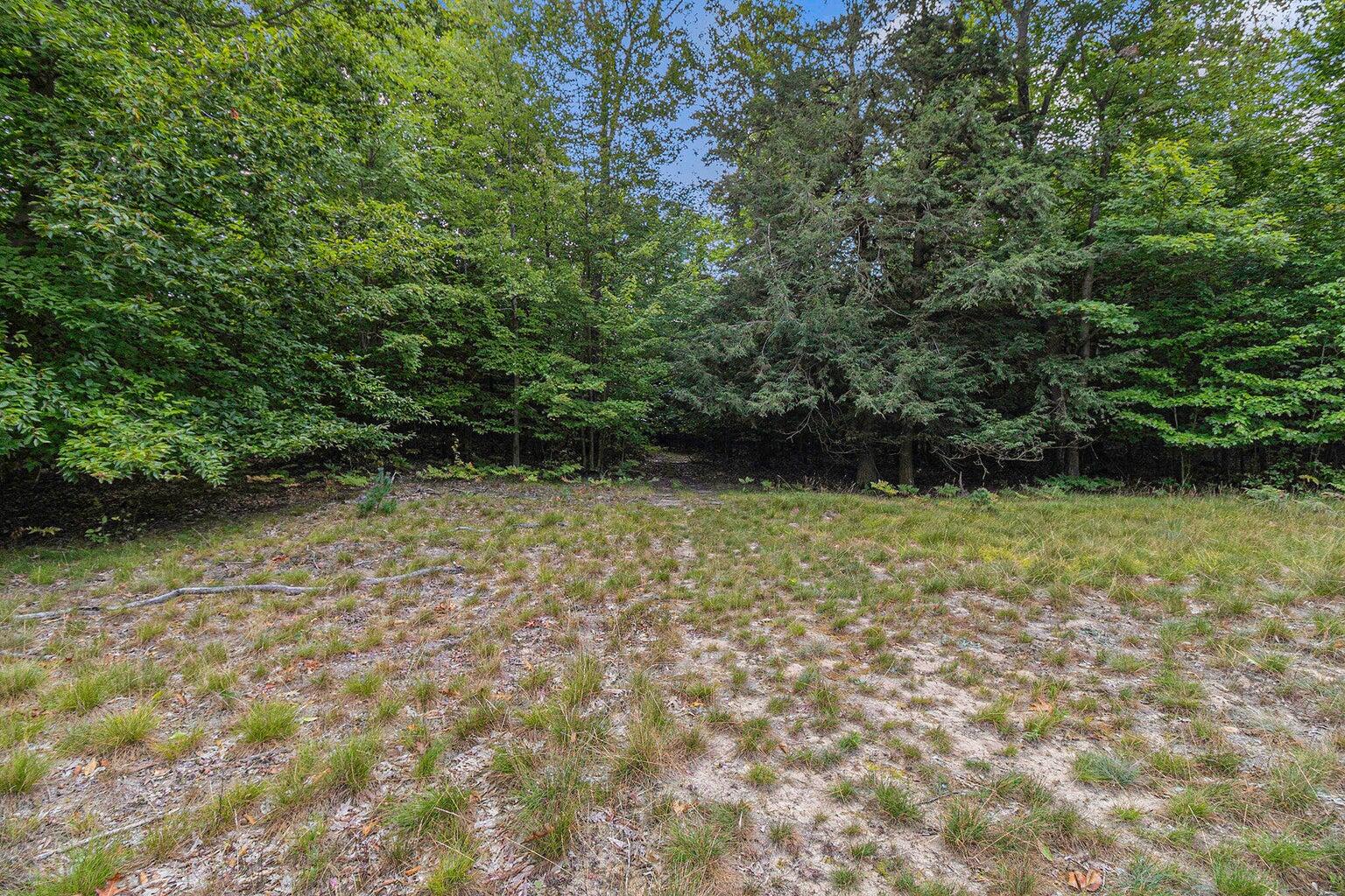 Lot 2 Pine Street Property Photo 2