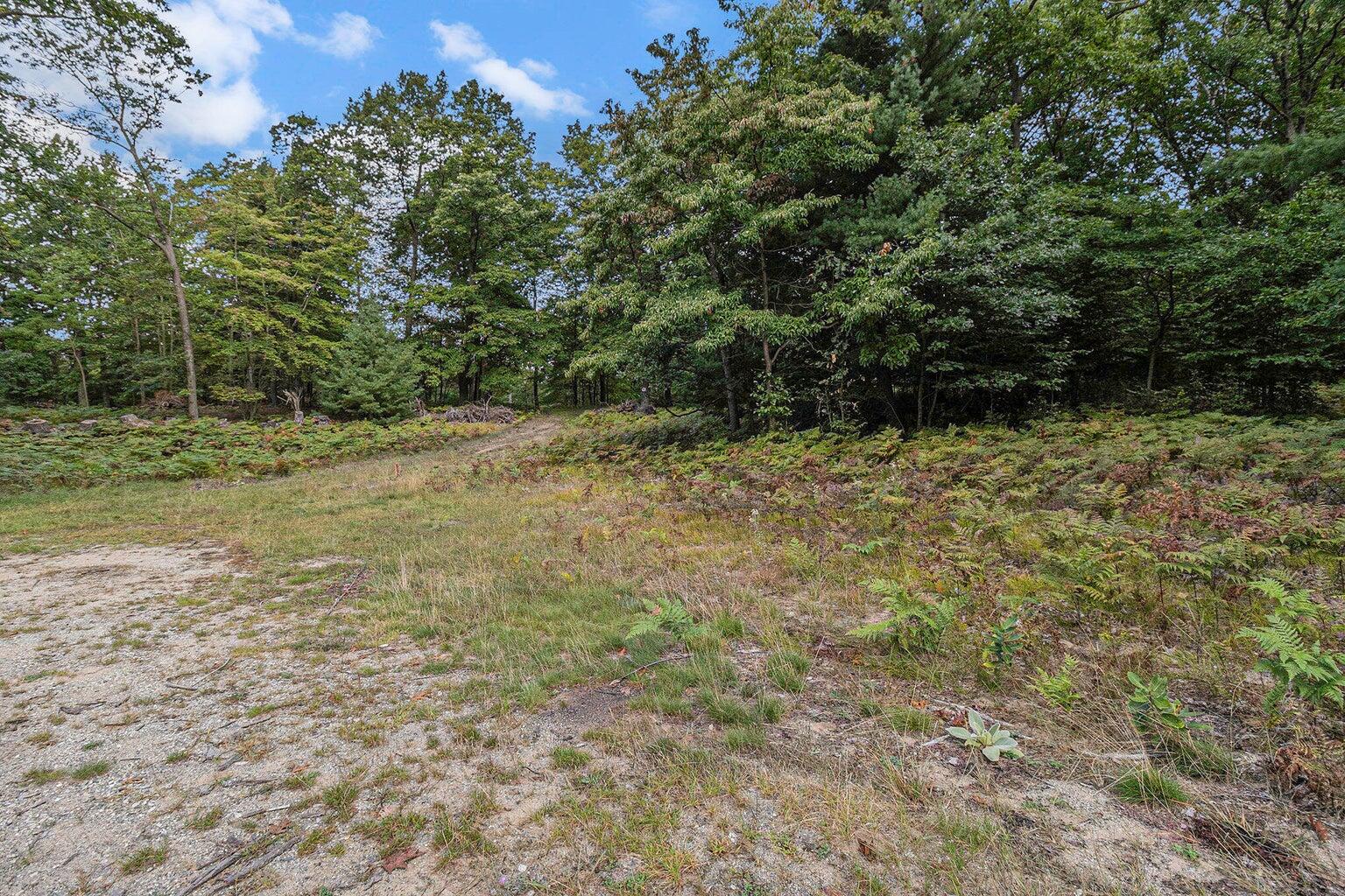 Lot 2 Pine Street Property Photo 4