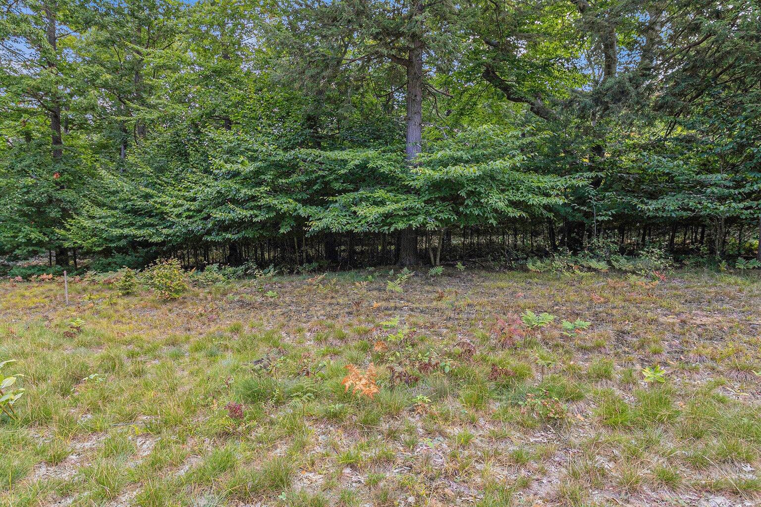 Lot 2 Pine Street Property Photo 5