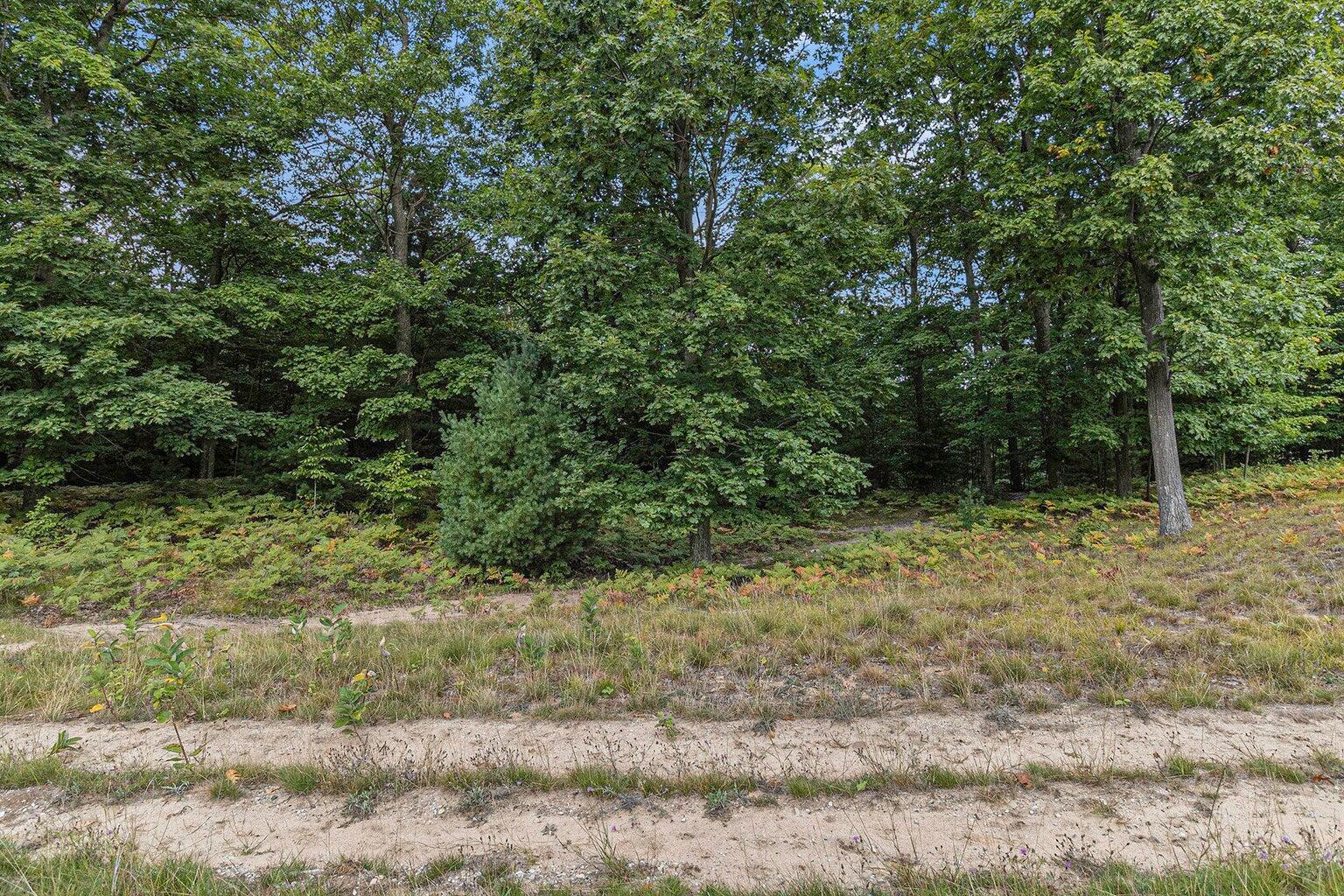 Lot 2 Pine Street Property Photo 6