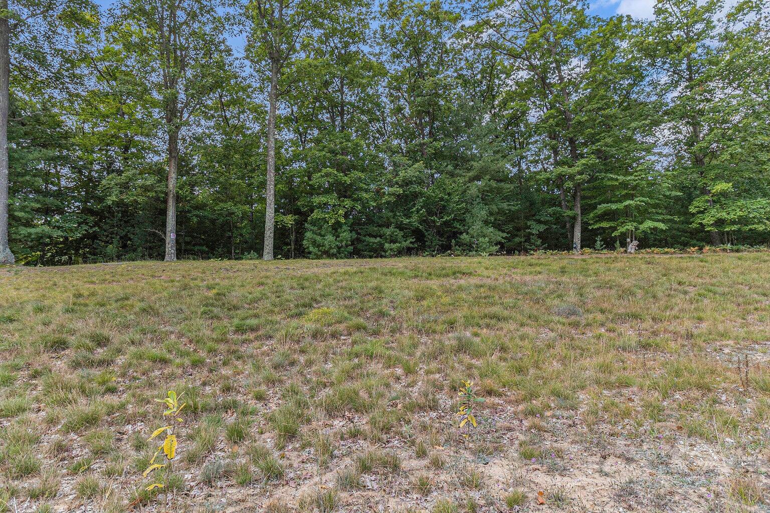 Lot 2 Pine Street Property Photo 7