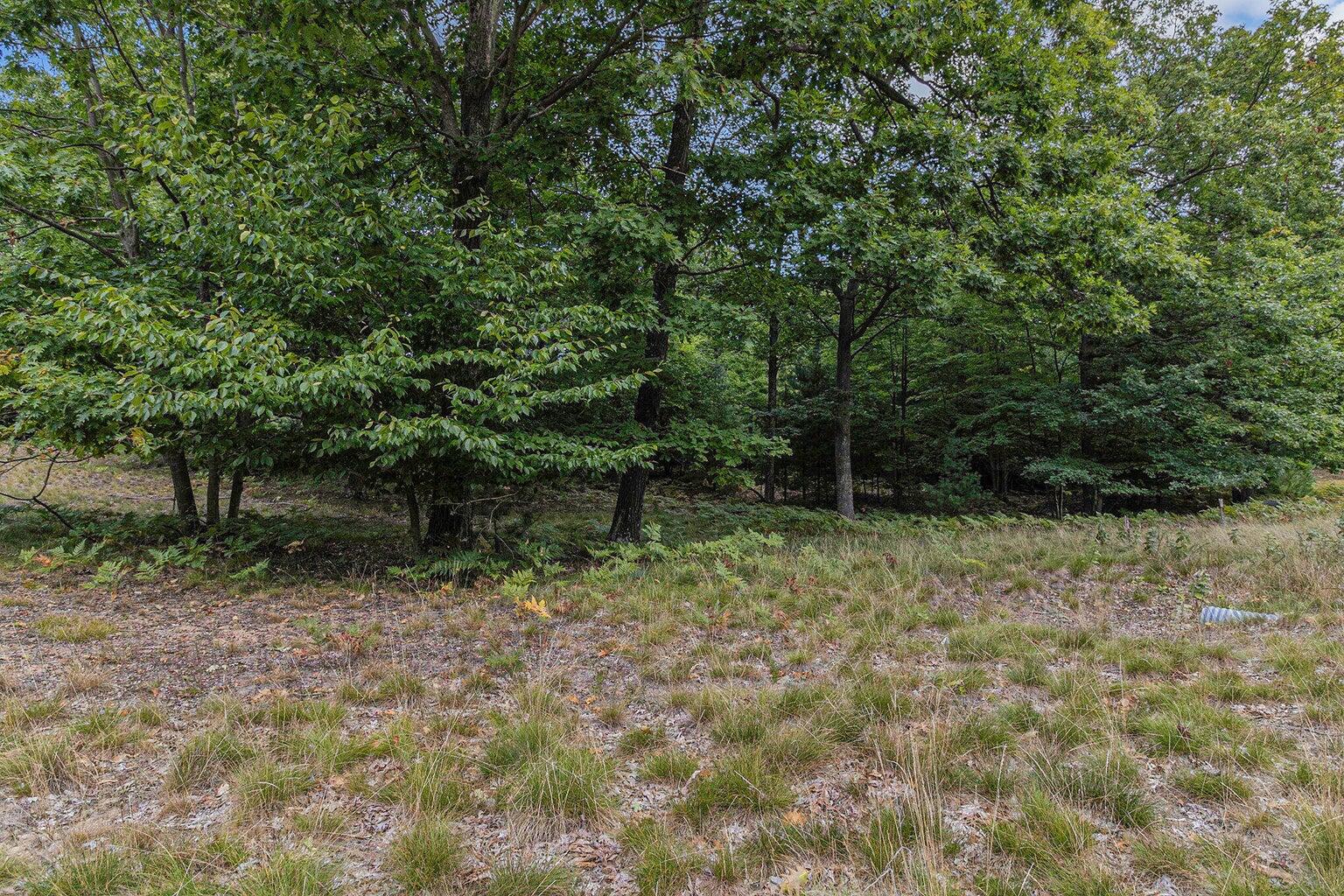 Lot 2 Pine Street Property Photo 8
