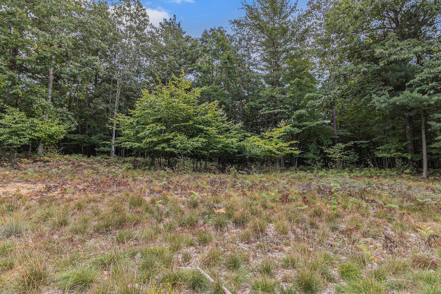 Lot 2 Pine Street Property Photo 9