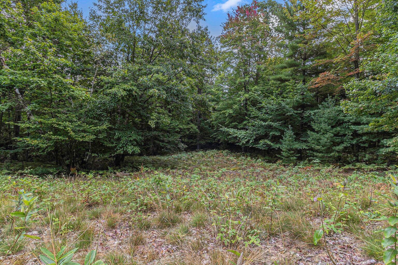 Lot 2 Pine Street Property Photo 10