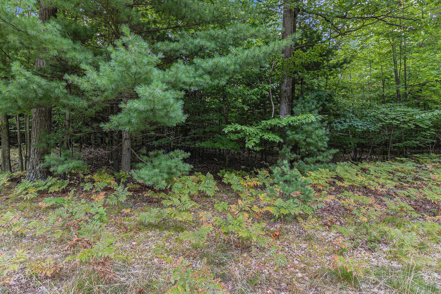 Lot 2 Pine Street Property Photo 11