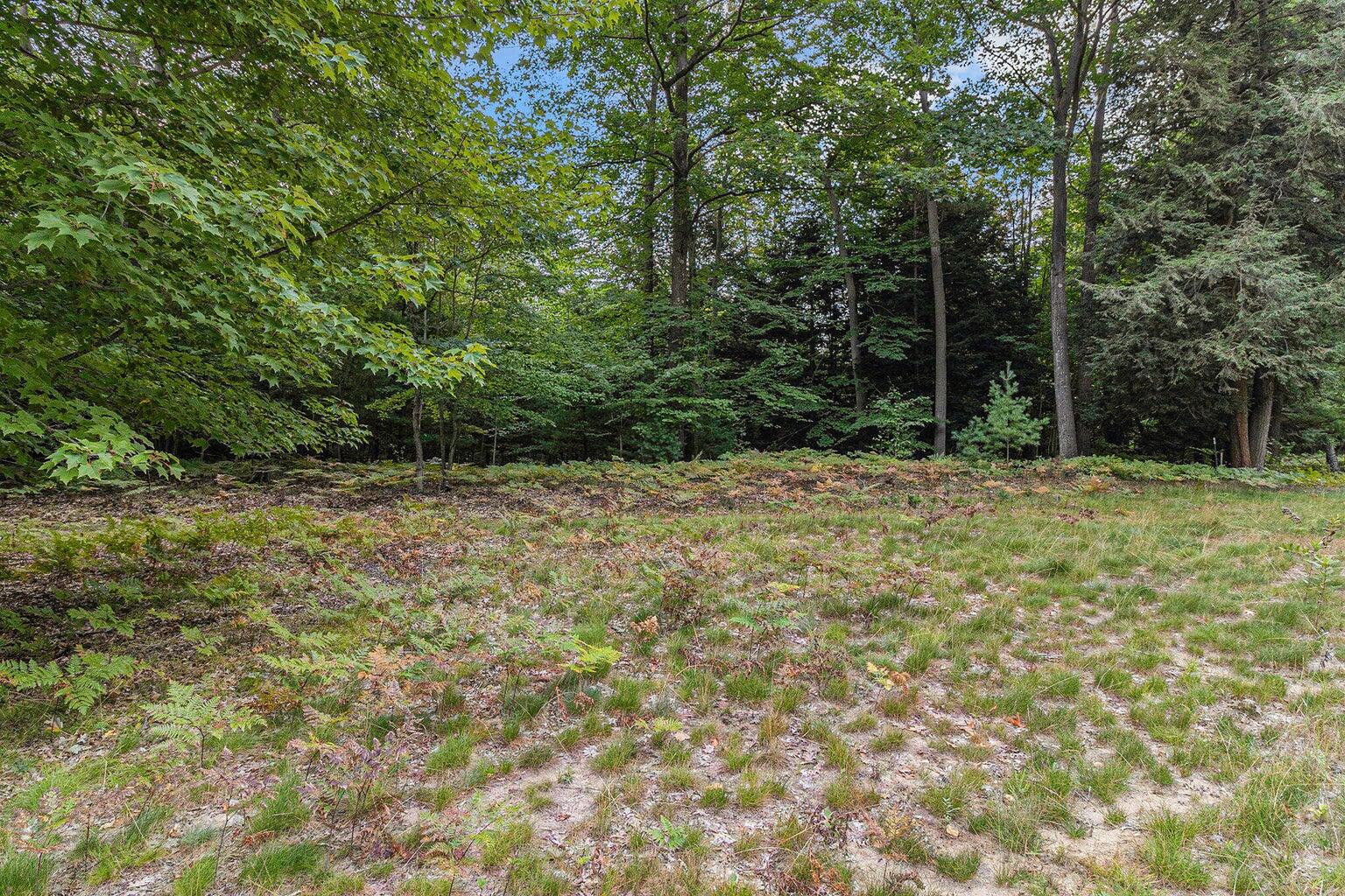 Lot 2 Pine Street Property Photo 12