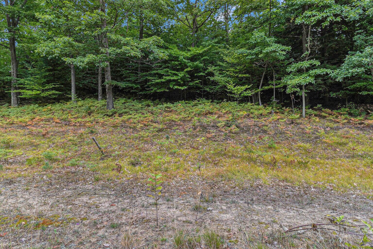 Lot 2 Pine Street Property Photo 13