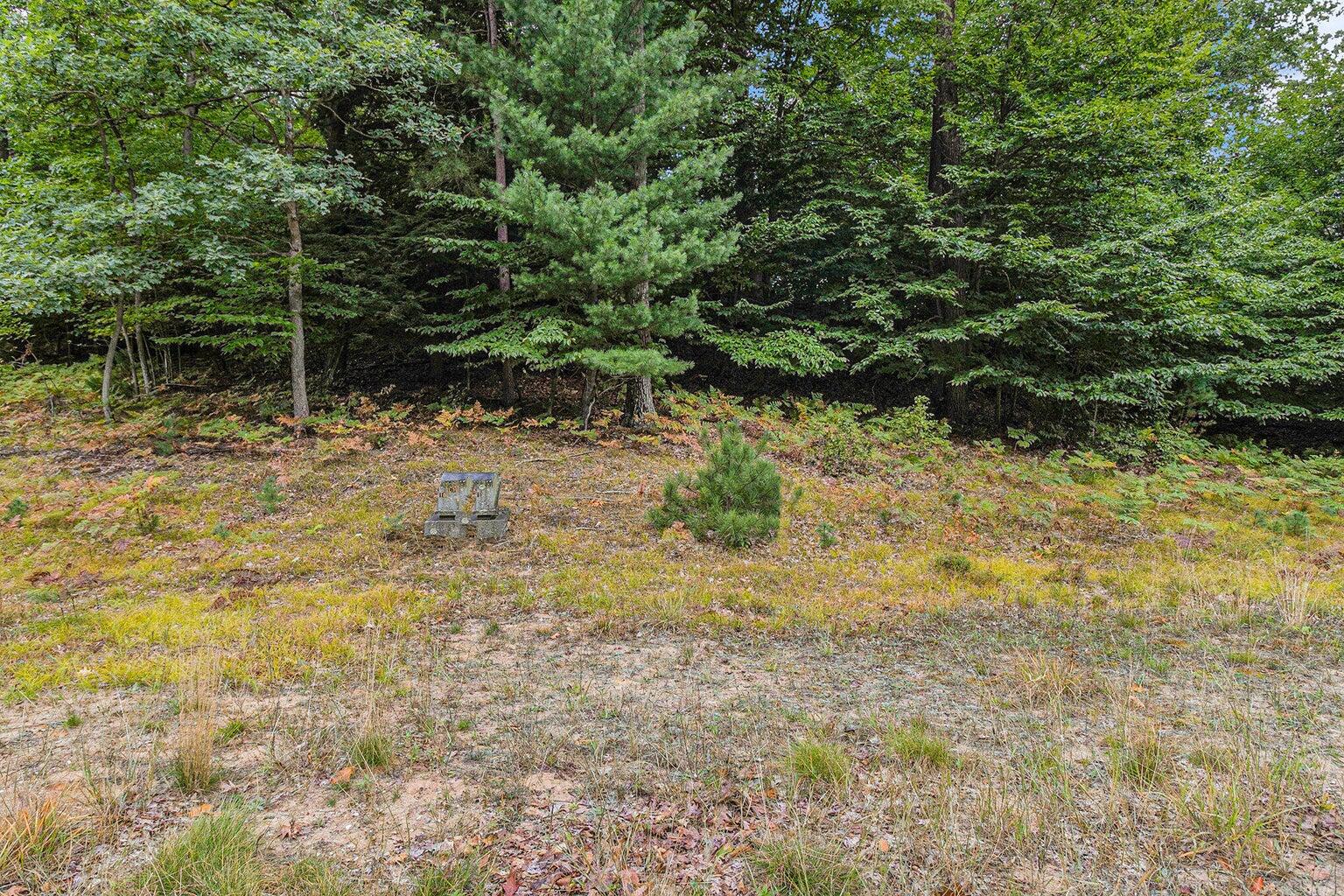 Lot 2 Pine Street Property Photo 14