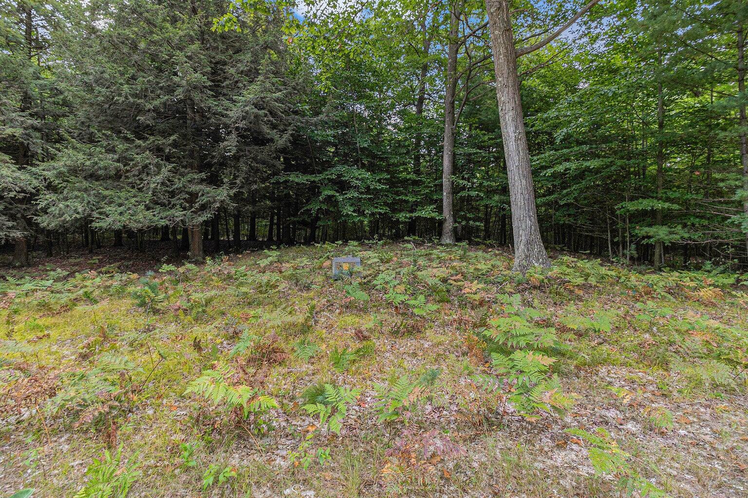 Lot 2 Pine Street Property Photo 15
