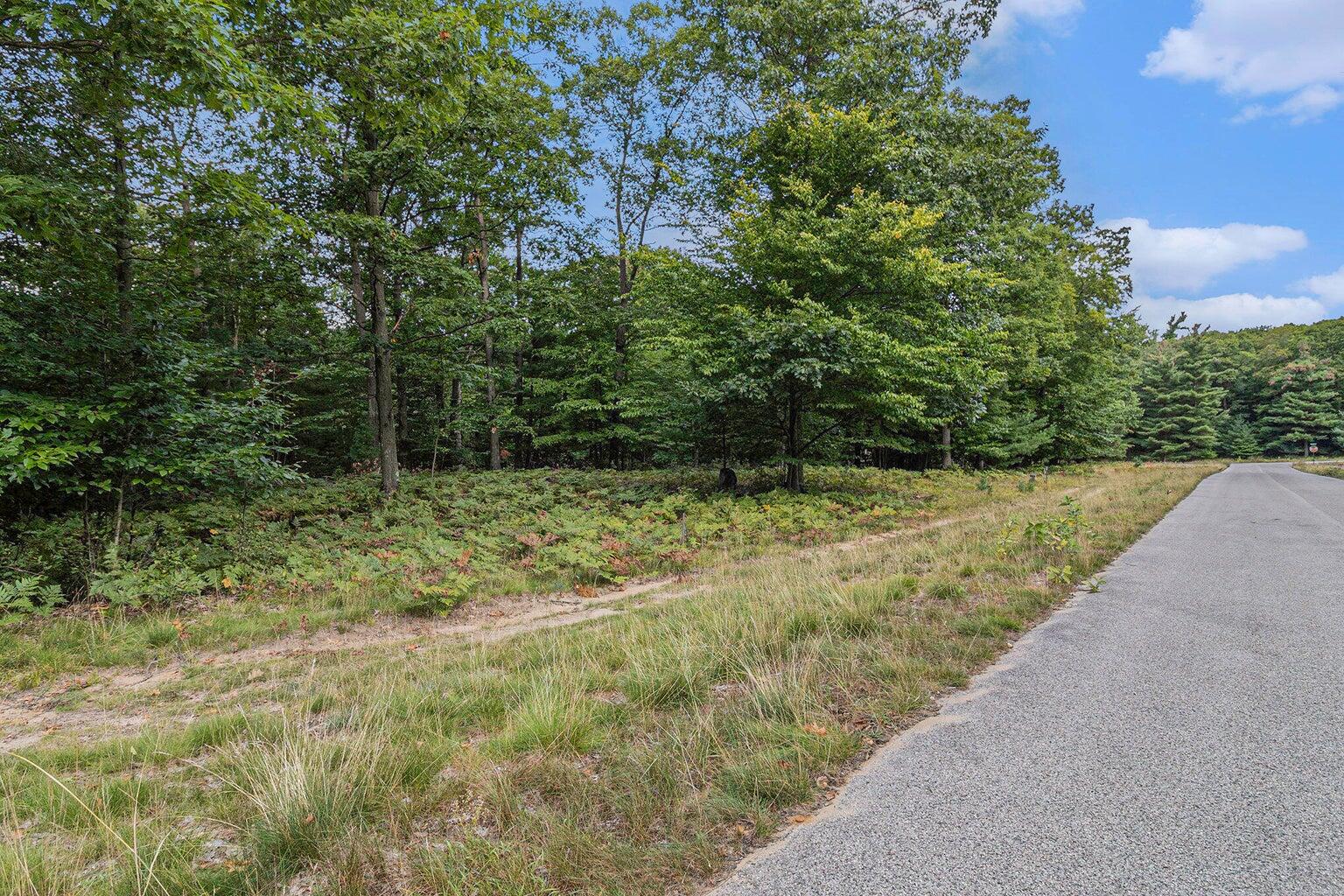 Lot 2 Pine Street Property Photo 25