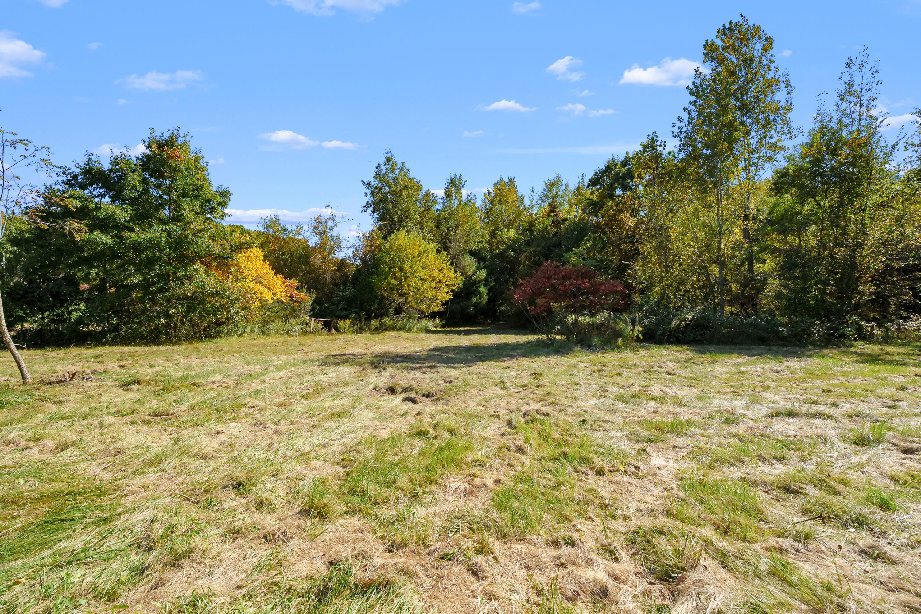 2740 111th Avenue Property Photo 4
