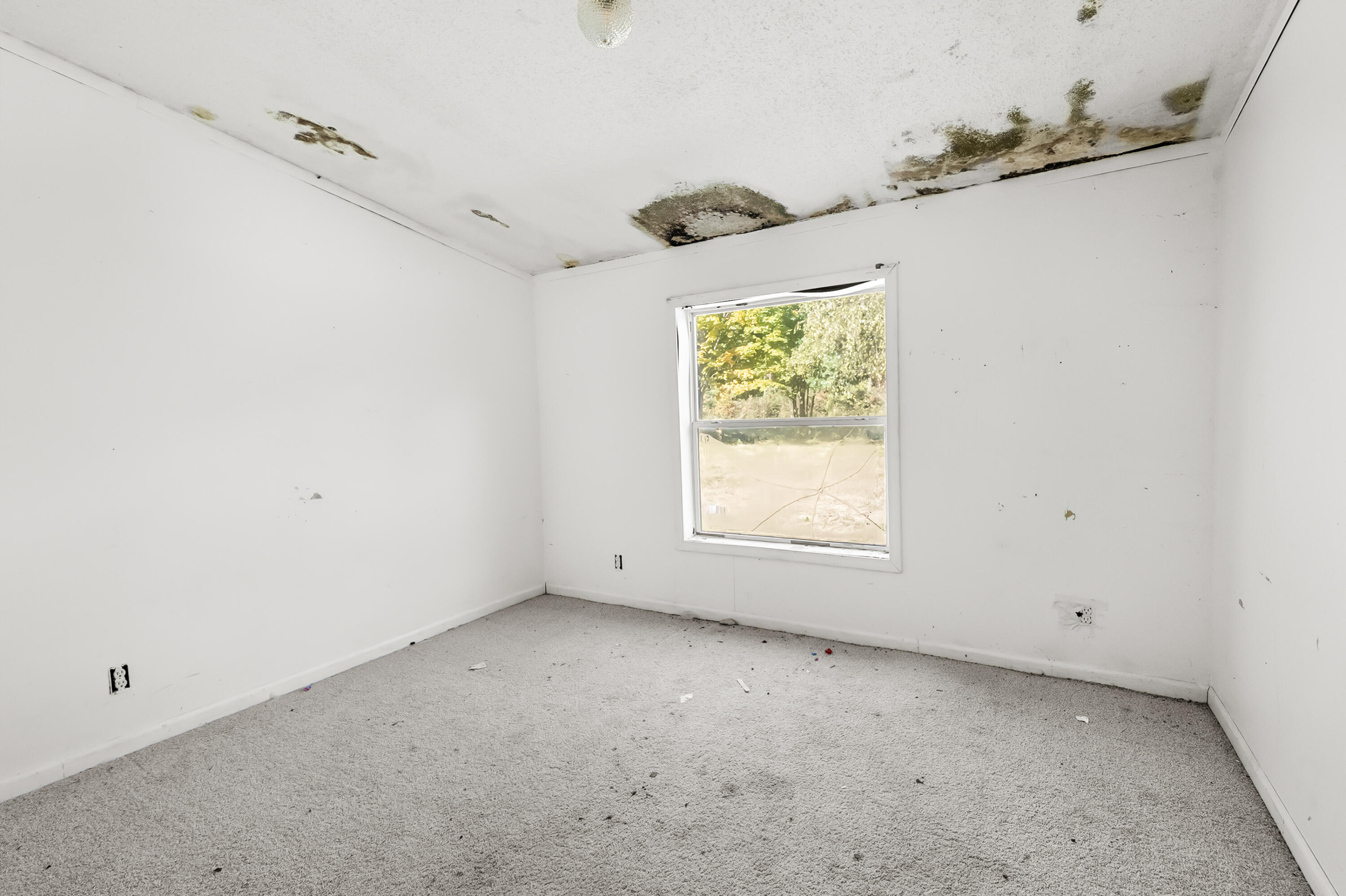 2740 111th Avenue Property Photo 17