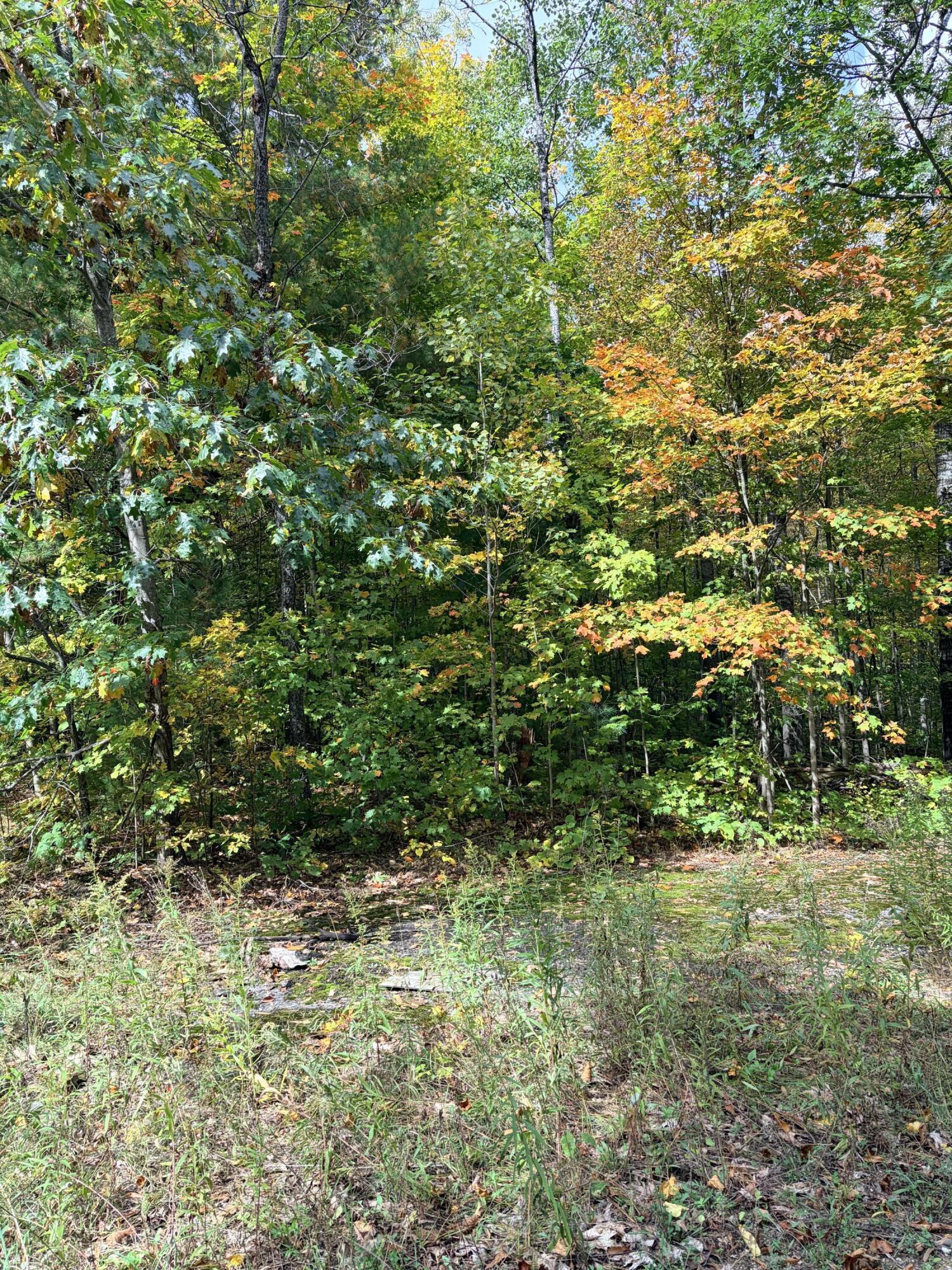 Vl Bruun Trail Property Photo 1