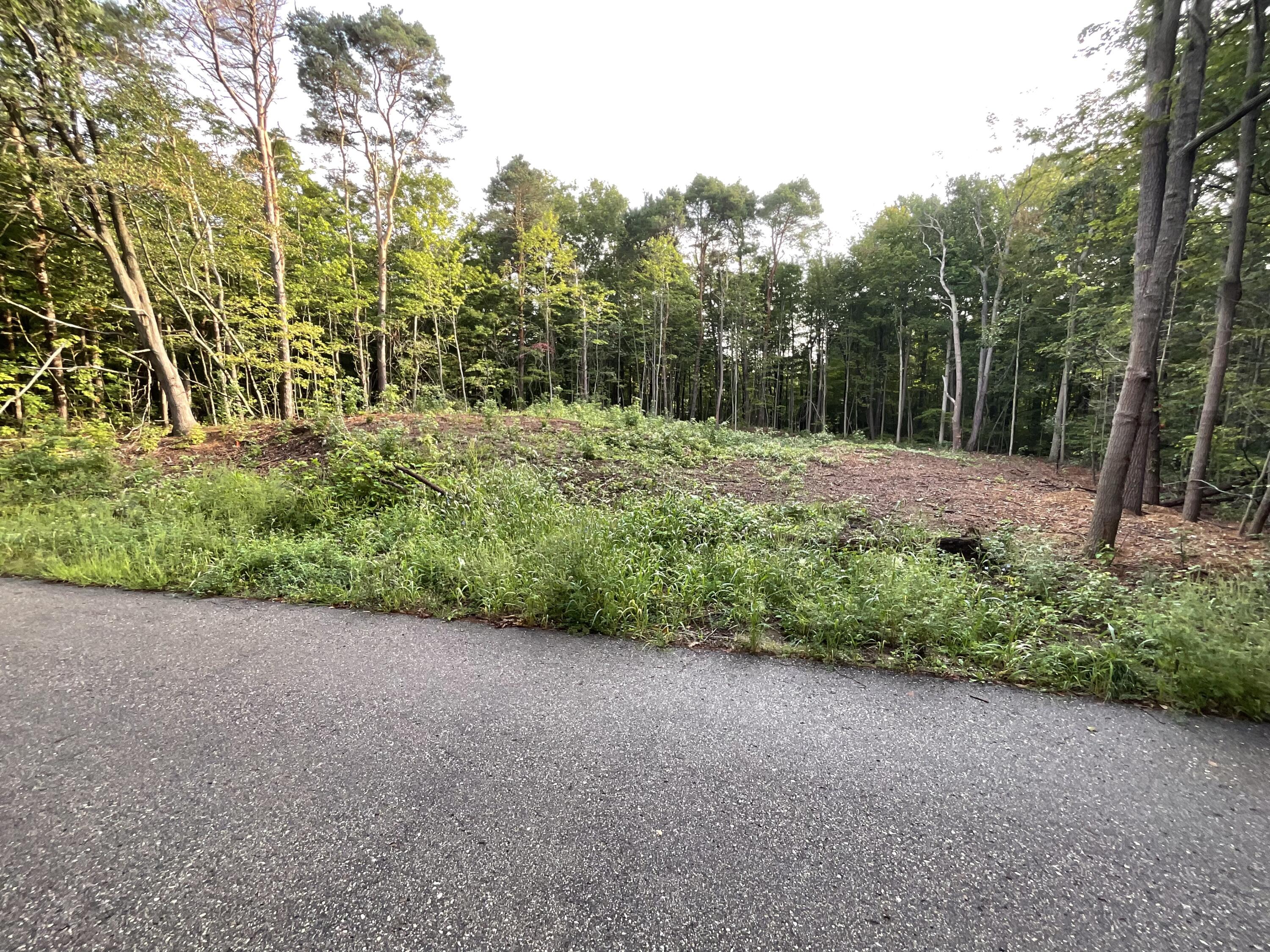 0 Crescent Drive Property Photo 1