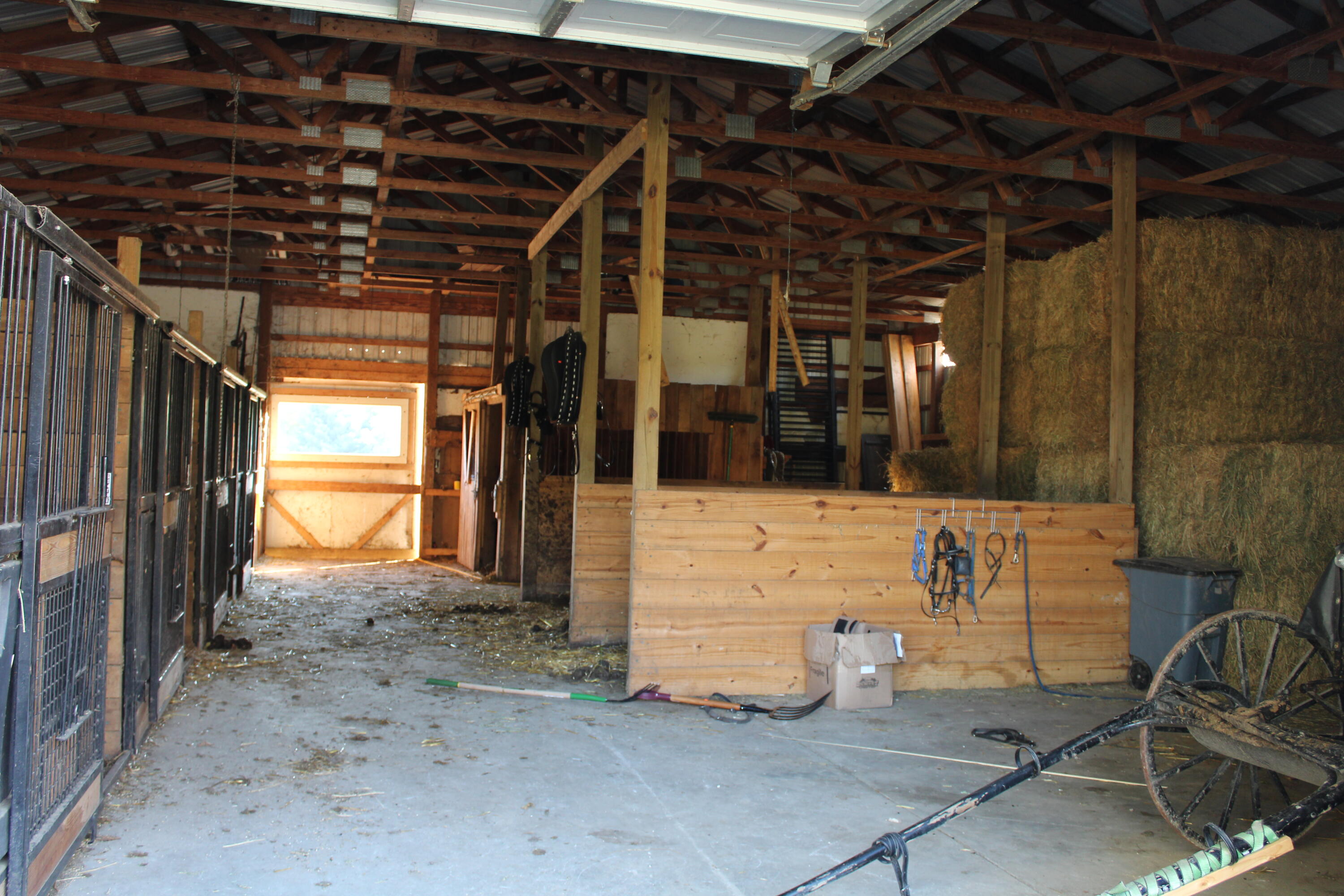 12817 Chief Road Property Photo 16