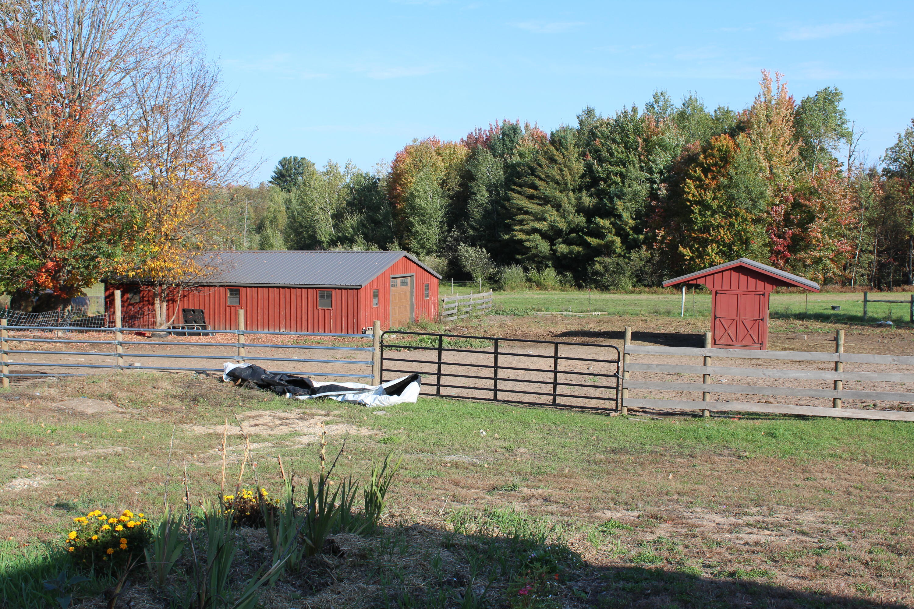 12817 Chief Road Property Photo 17