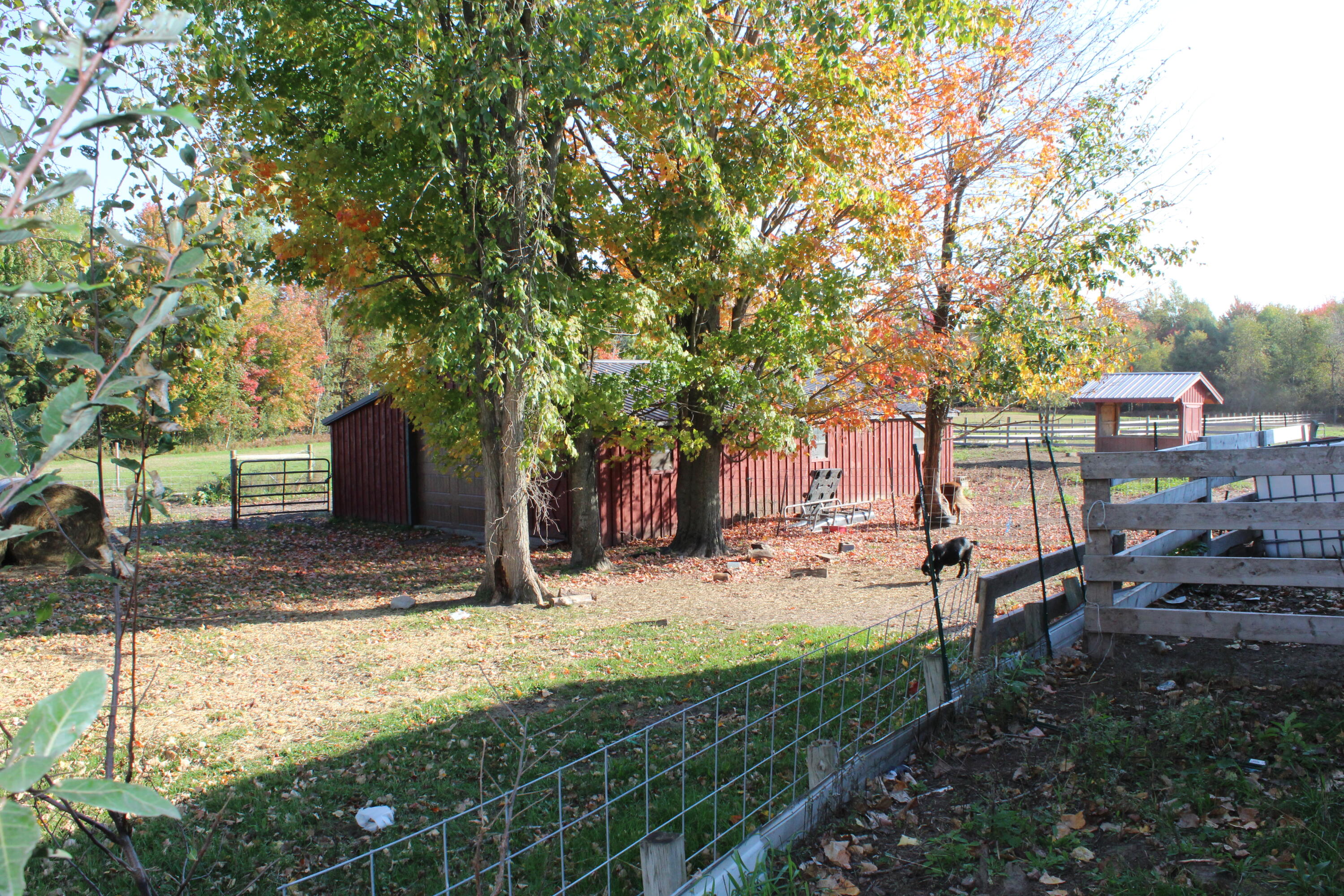 12817 Chief Road Property Photo 22
