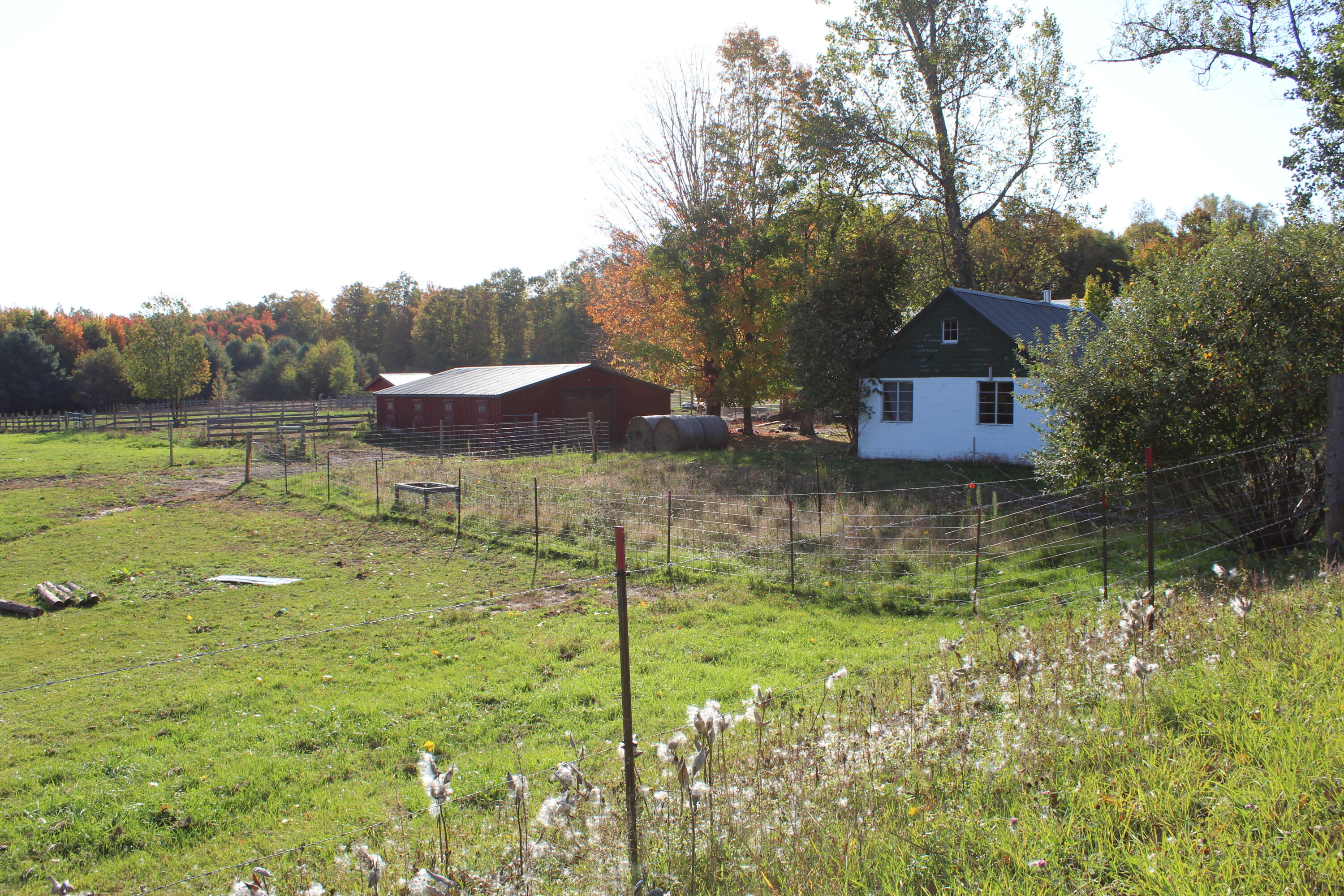 12817 Chief Road Property Photo 26