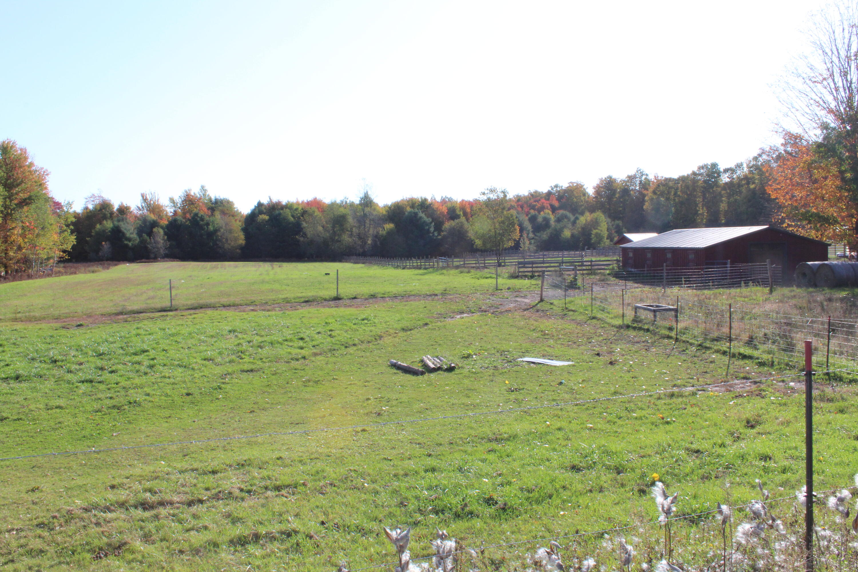 12817 Chief Road Property Photo 27