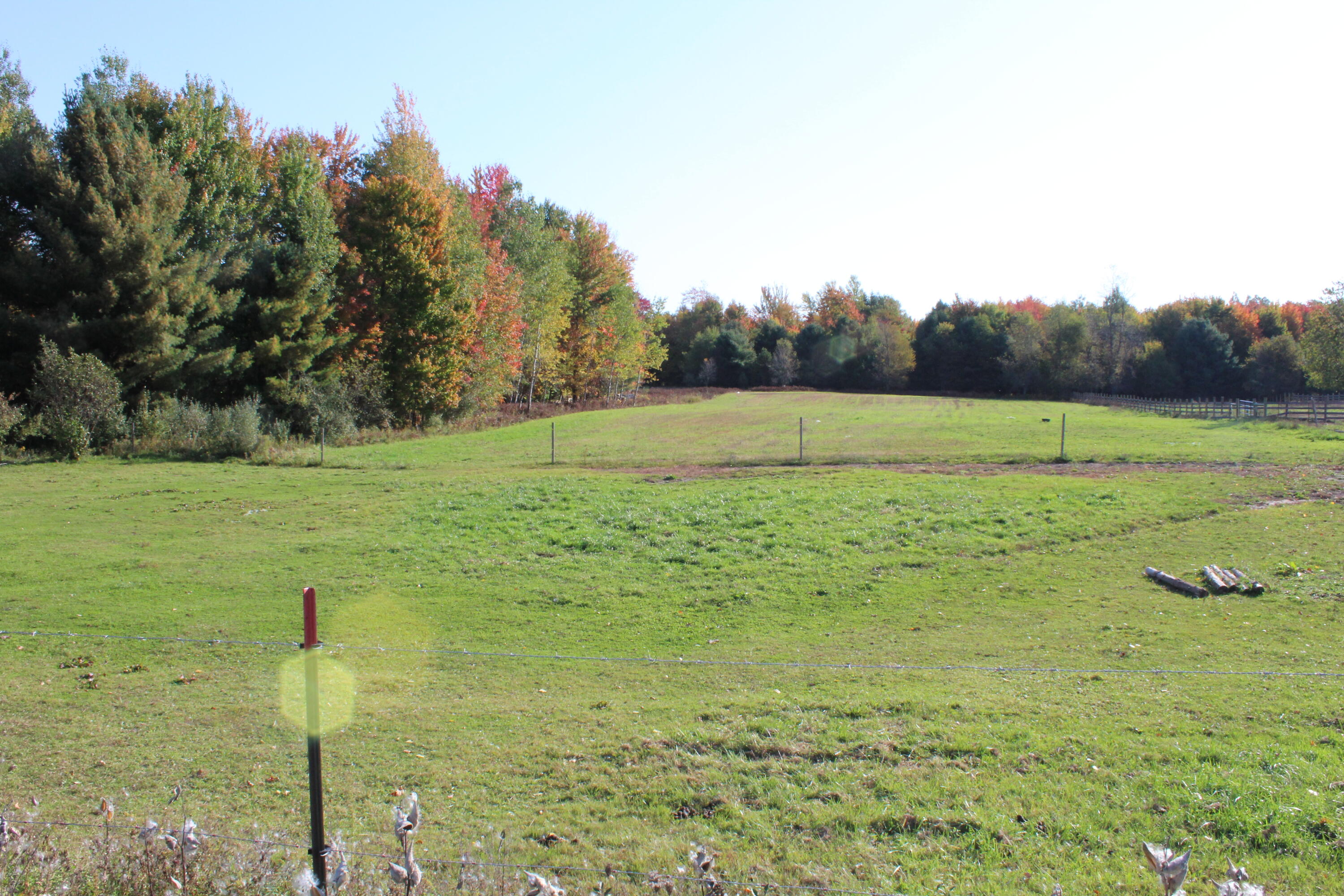 12817 Chief Road Property Photo 28