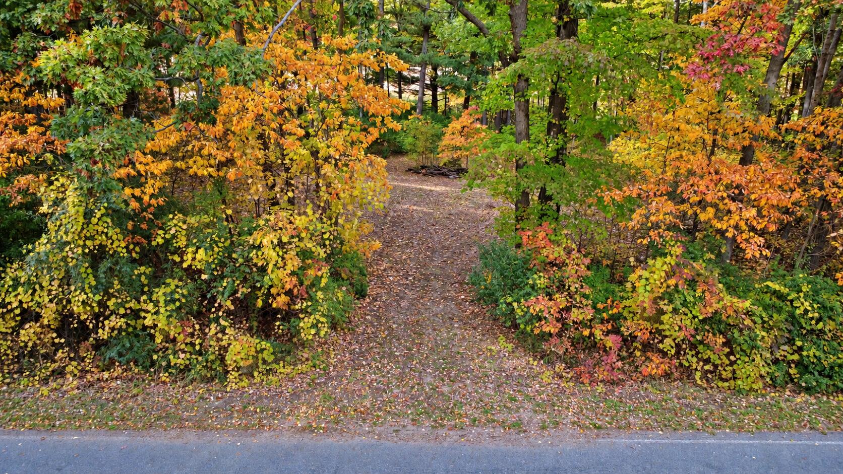 7861 Vestaburg Road Property Photo 1