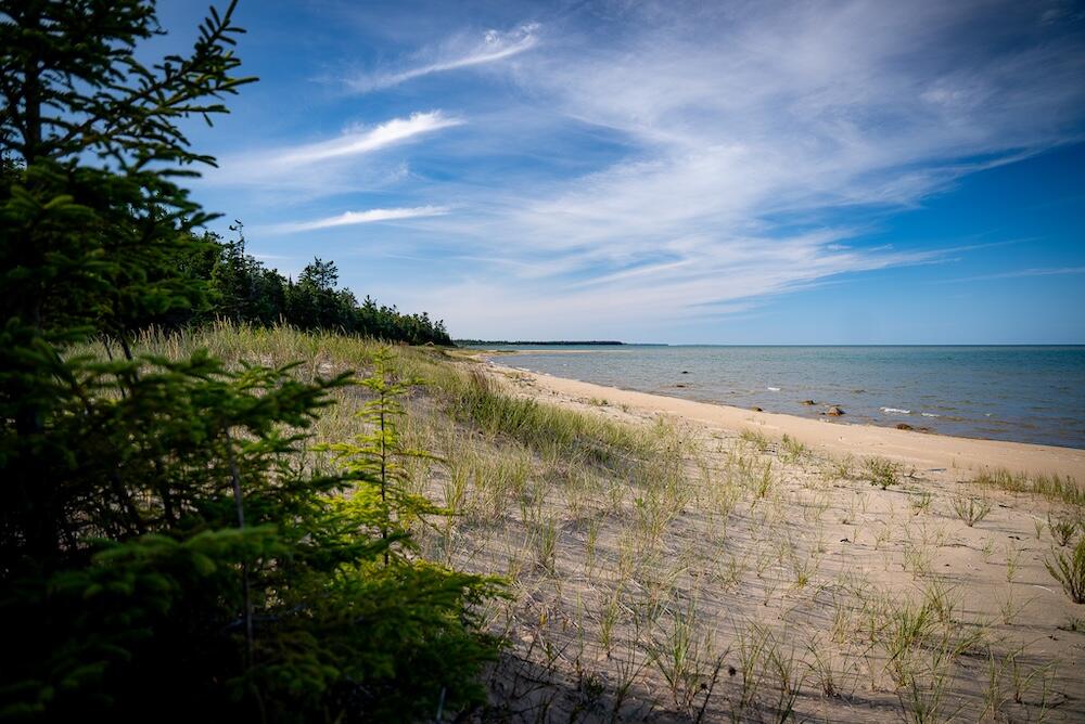 9842 Misery Bay Road Property Photo 10