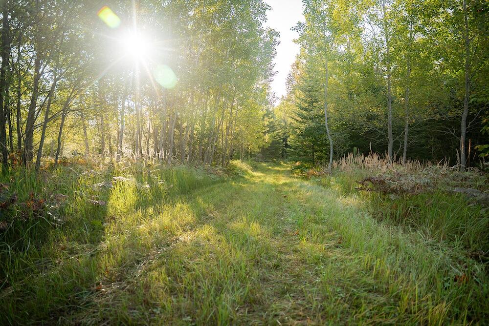 9842 Misery Bay Road Property Photo 14