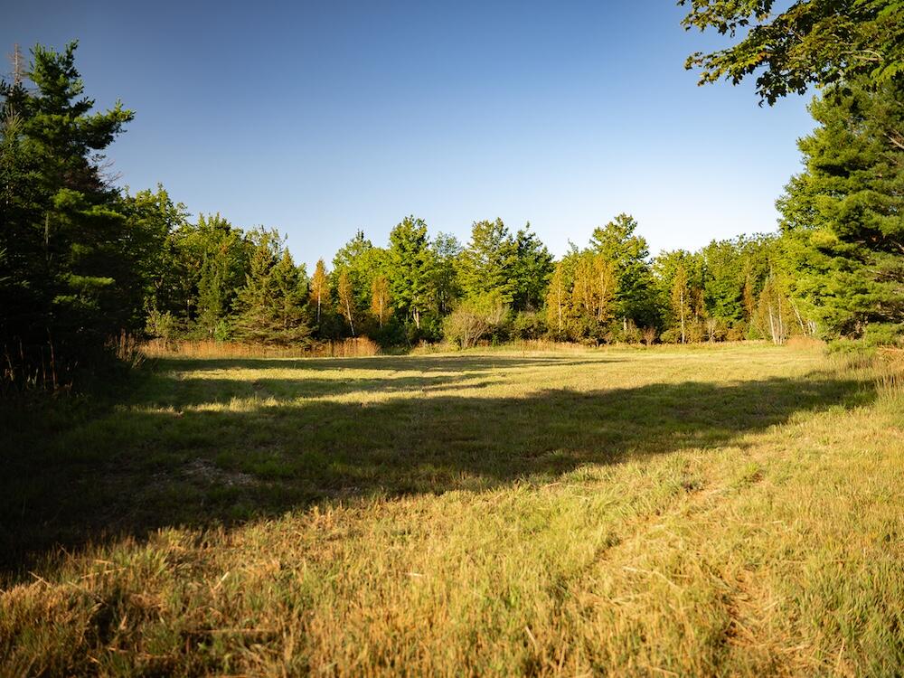 9842 Misery Bay Road Property Photo 47