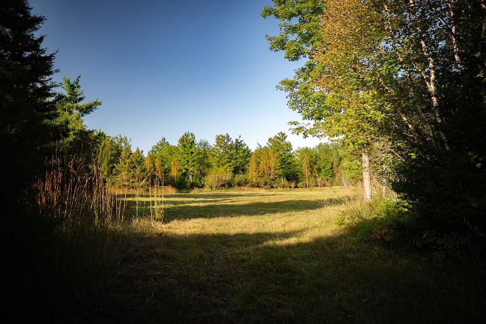 9842 Misery Bay Road Property Photo 48