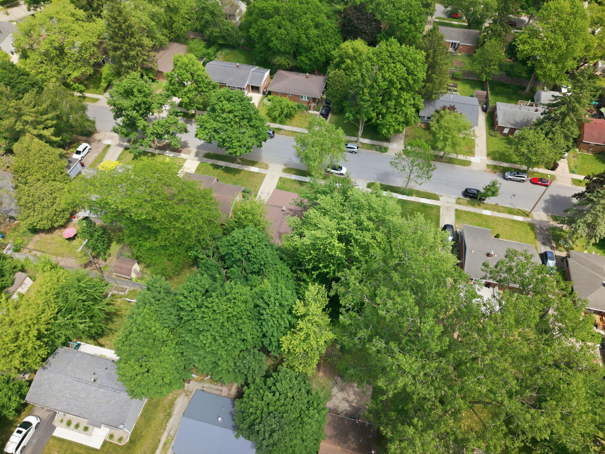 1061 Western Drive Property Photo 42