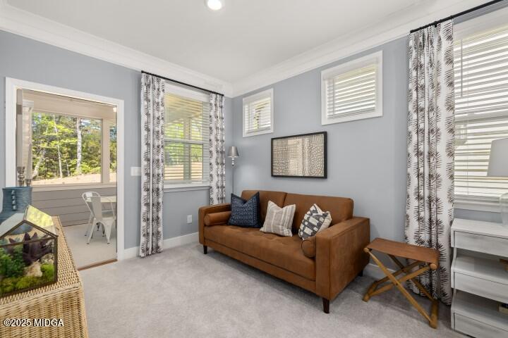 223 Flat Shoal Drive Property Photo 20