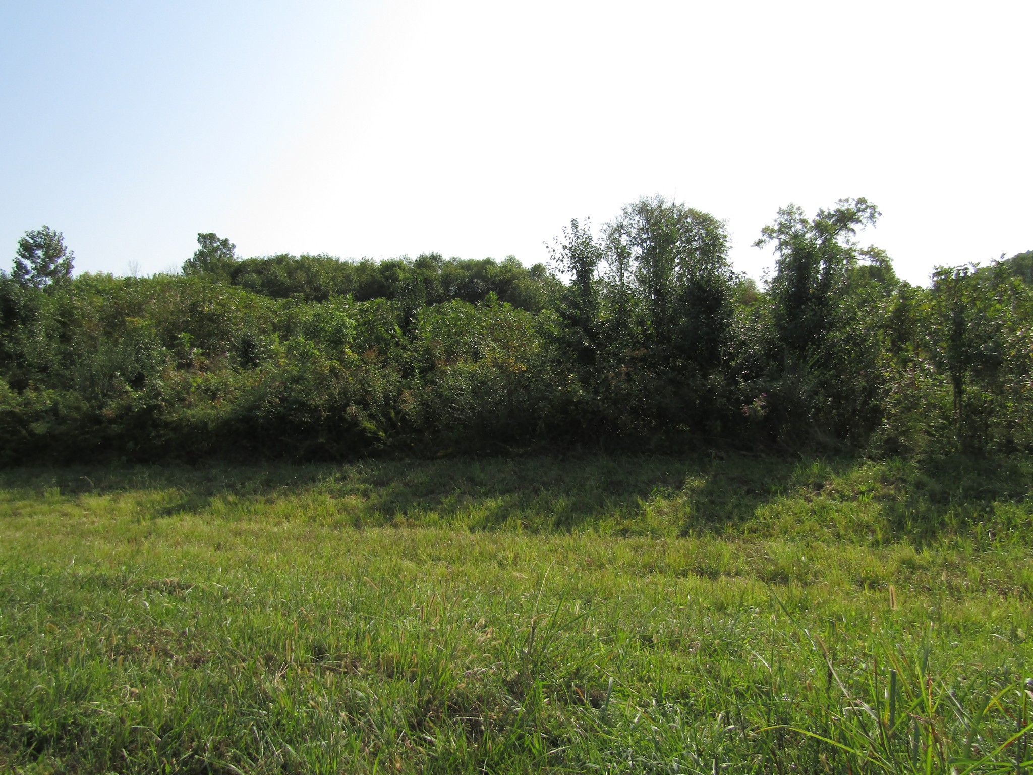 0 Water Plant Road Property Photo