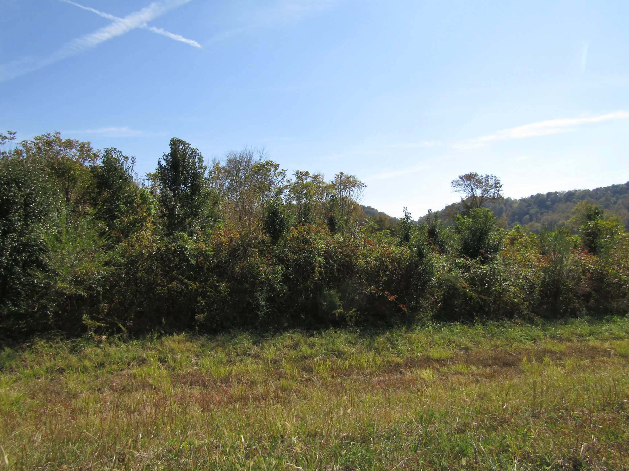 0 Water Plant Road Property Photo