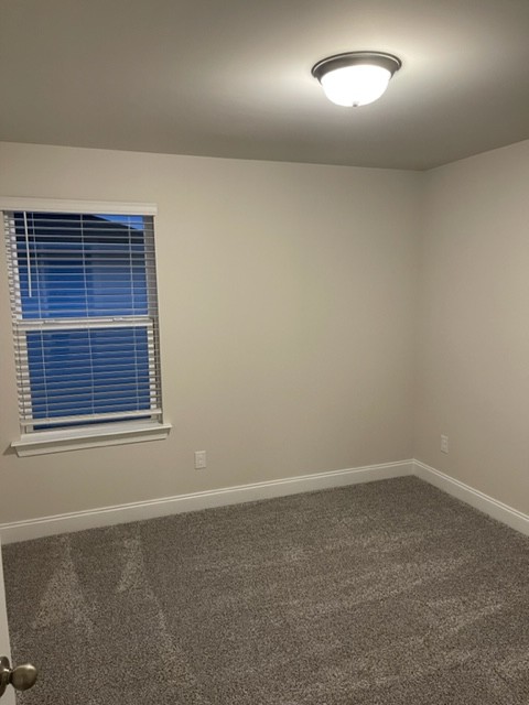 4320 Skyridge Dr Property Photo 33