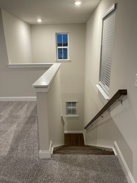 4320 Skyridge Dr Property Photo 41