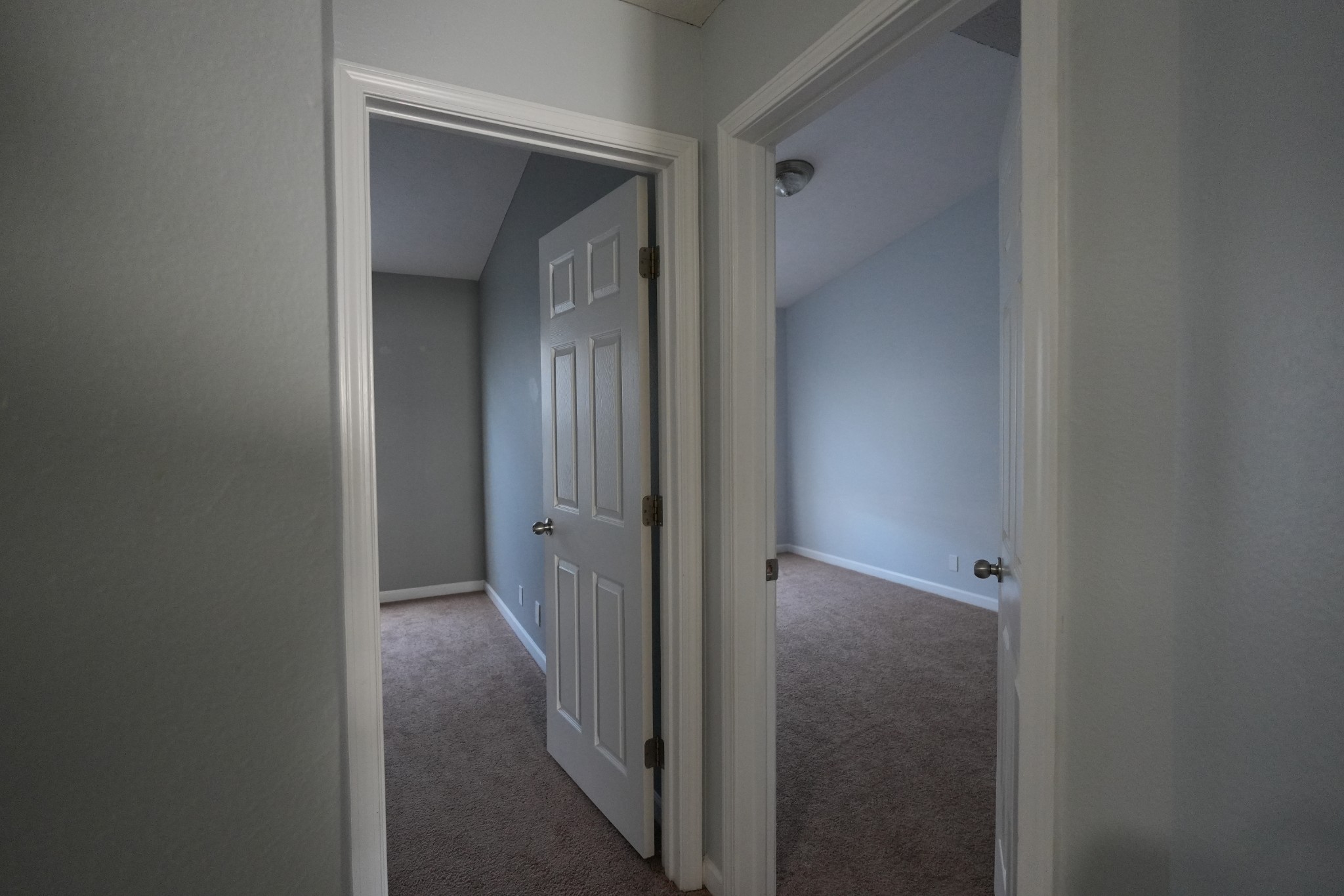 3164 Shaylin Xing Property Photo 22