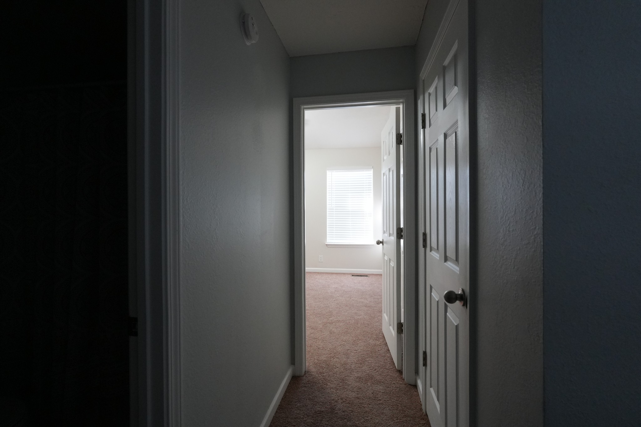 3164 Shaylin Xing Property Photo 27