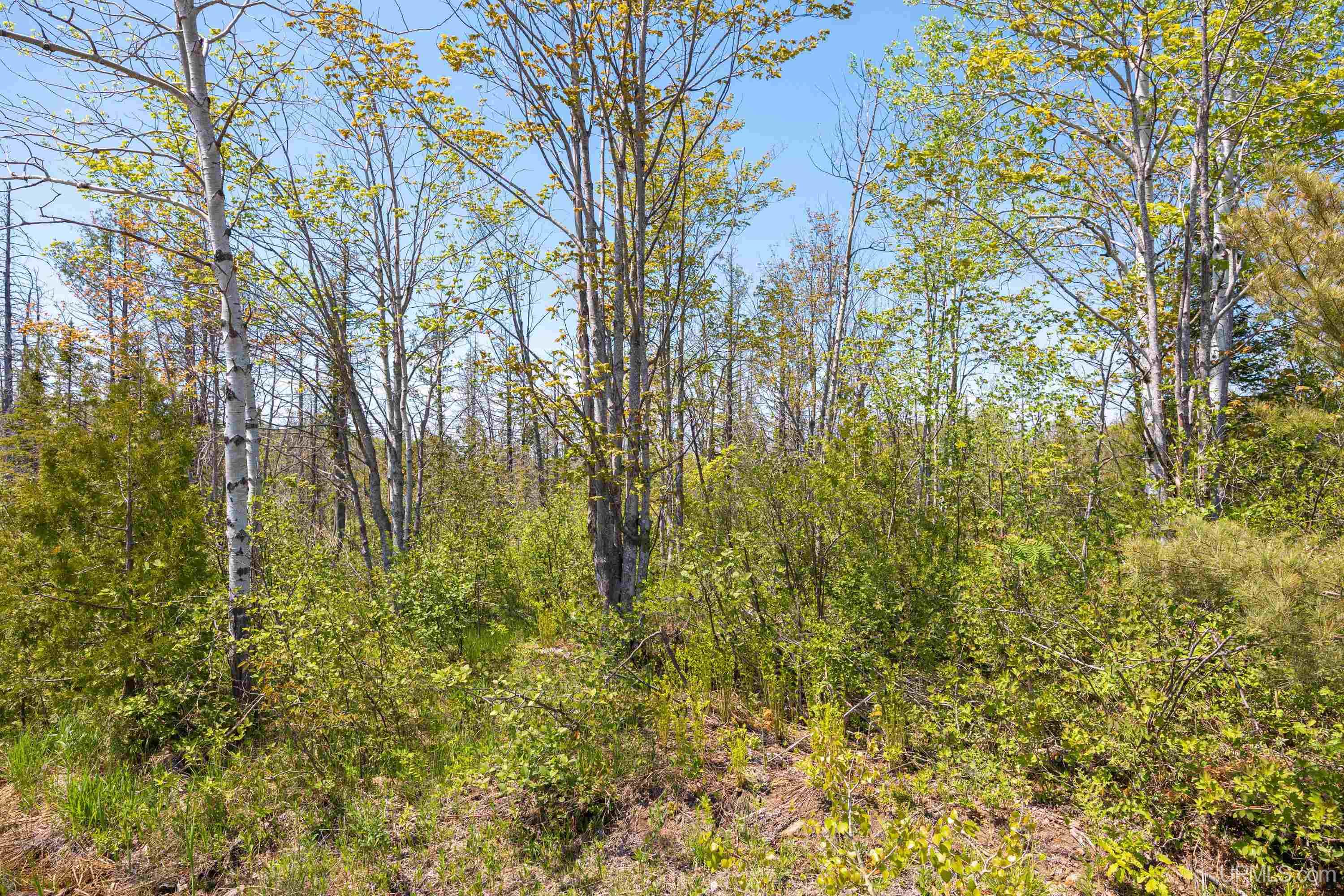 Lot 1 Airport Road Property Photo 7