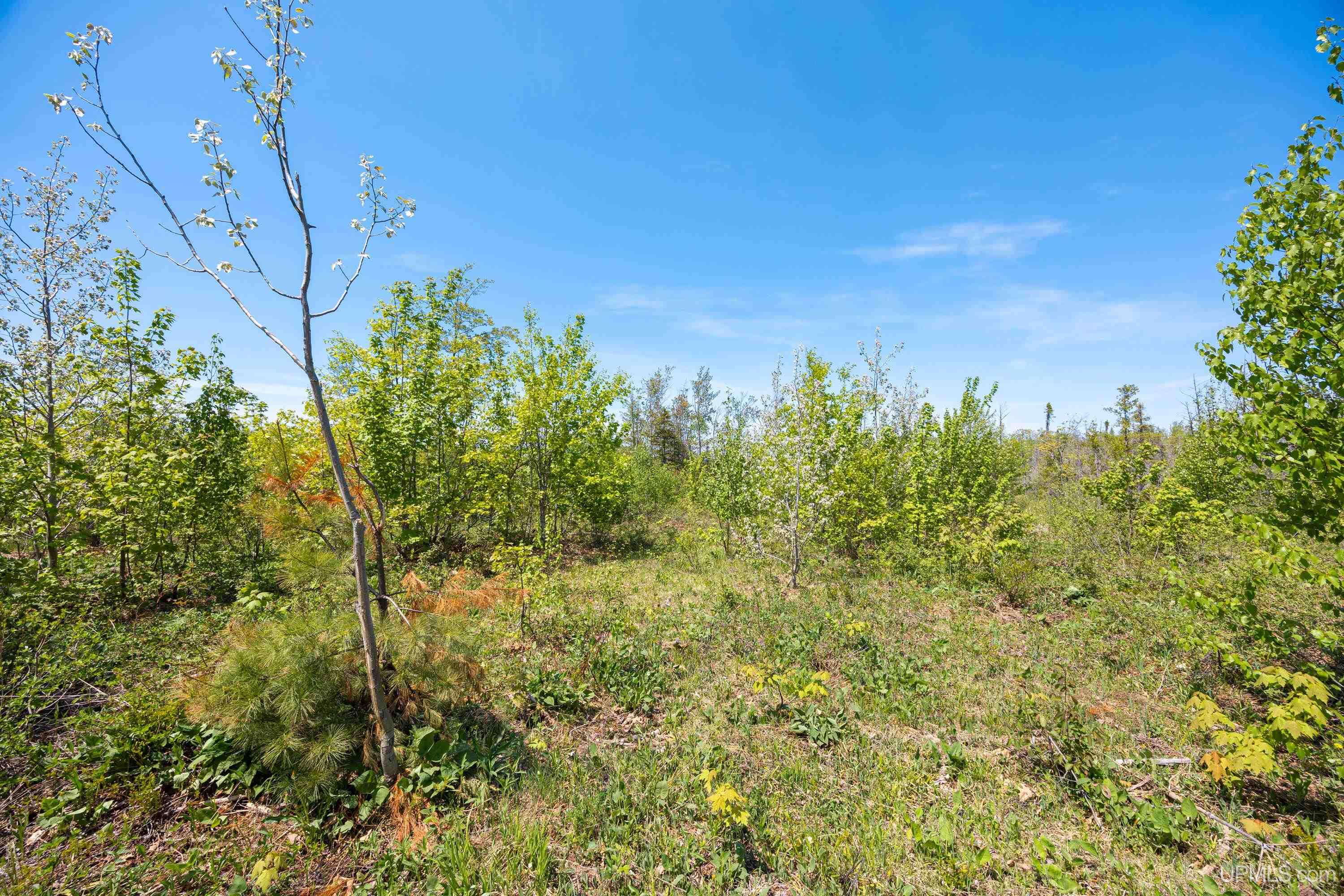 Lot 1 Airport Road Property Photo 12